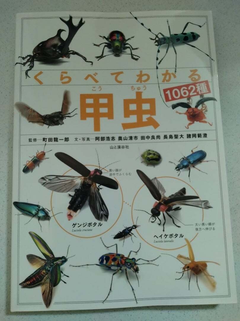 読書感想文】山と渓谷社「くらべてわかる 甲虫」を読んだ感想｜ちかの