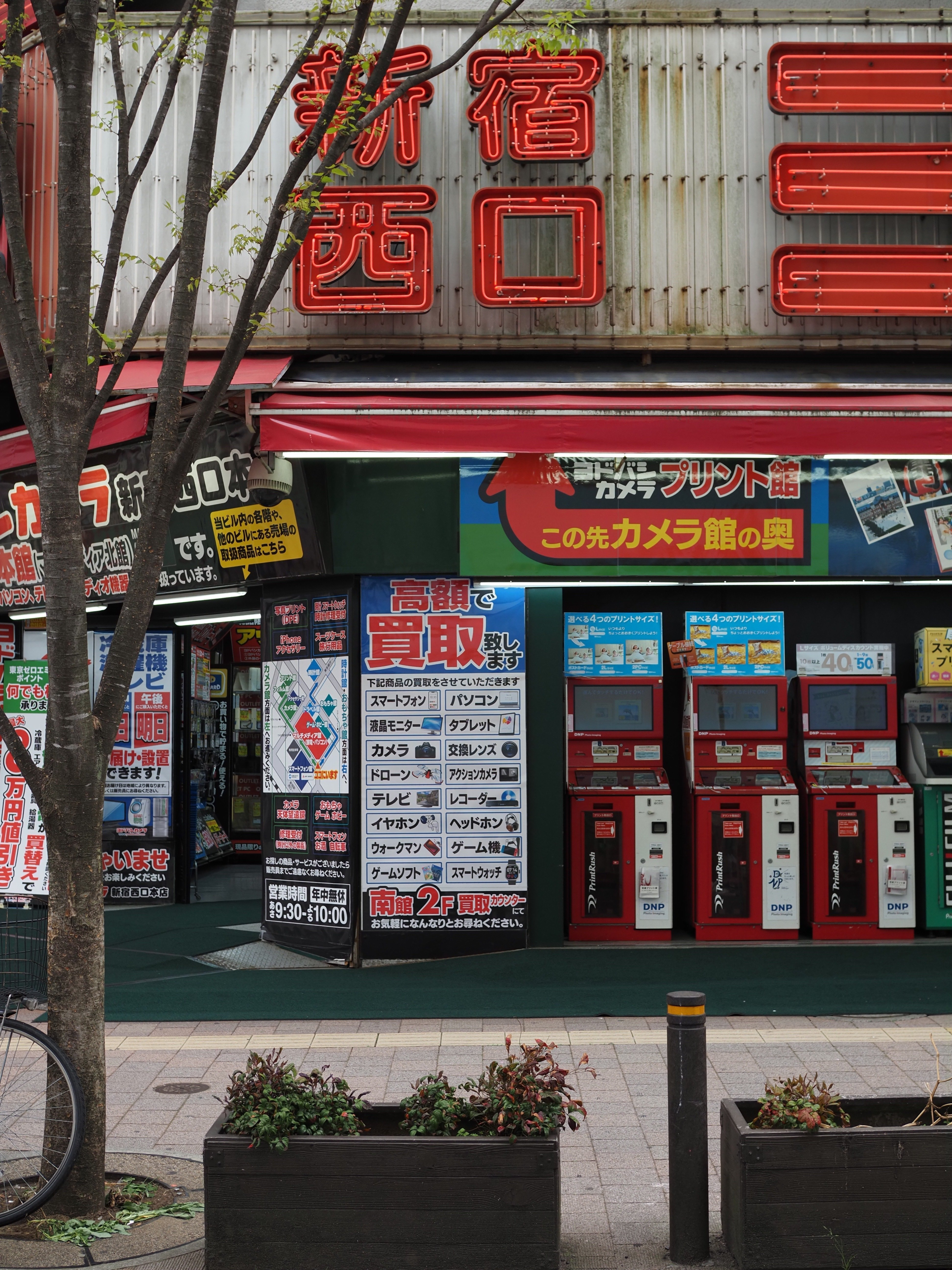 新宿って緑が綺麗なんですよ｜Telin.