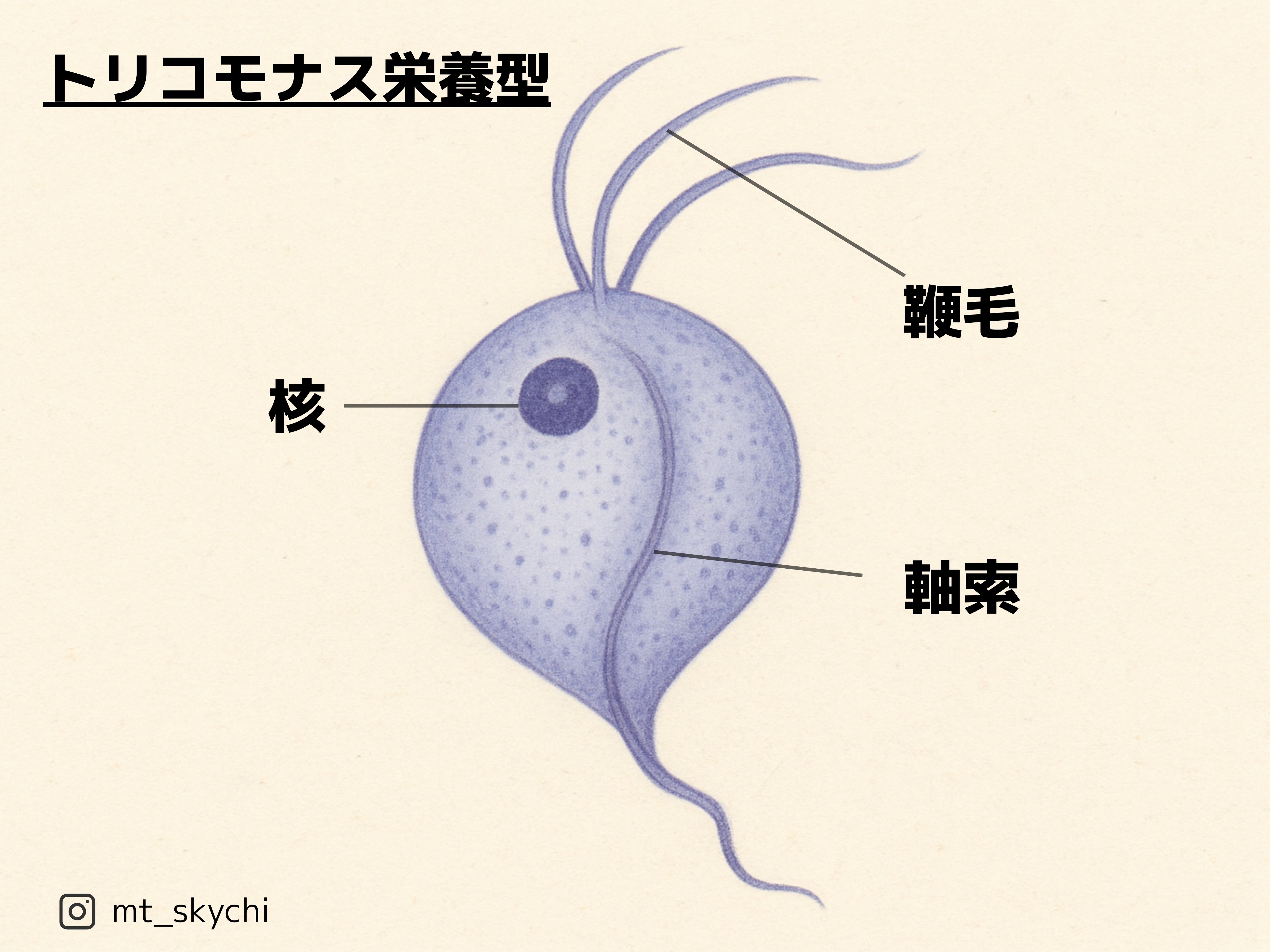 2025第71回臨床検査技師国家試験解説【臨床検査総論編】#1〜10｜そらち