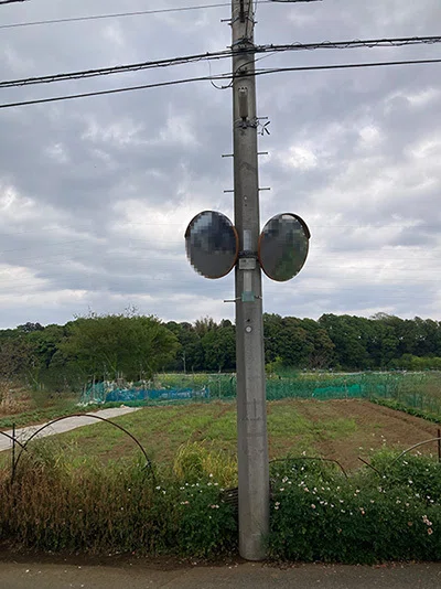 電信柱。その日はスズメちん達が群れてました。（写真）