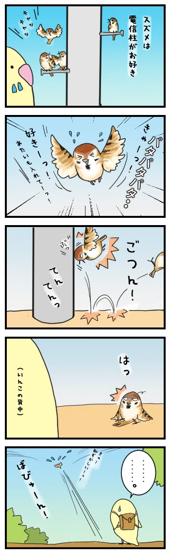 4コママンガ「いんこは見た！弾むスズメ」
