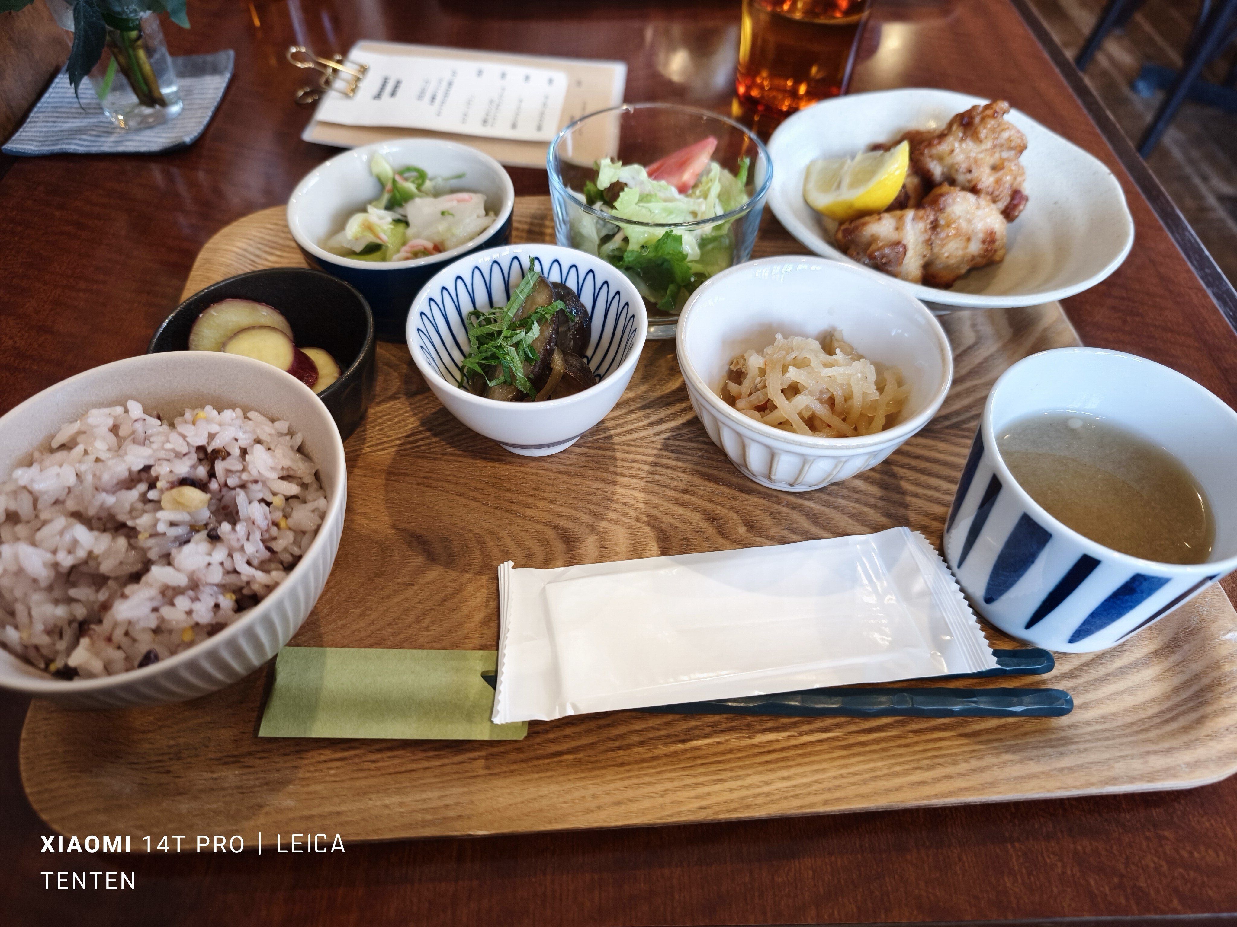 北海道庁旧本庁舎（道庁赤レンガ庁舎）の庭の桜（2025年4月26日