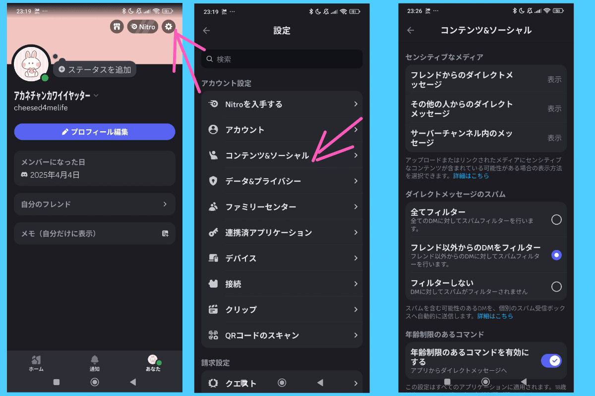 第三章（完結）、discordの交流とロール、ネットの和の中へ｜ドロバエ