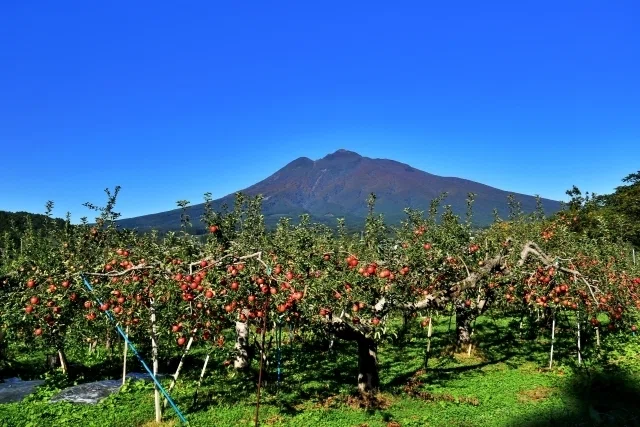 日本活火山図鑑vol.2】【青森県・岩木山】美しい成層火山・津軽富士