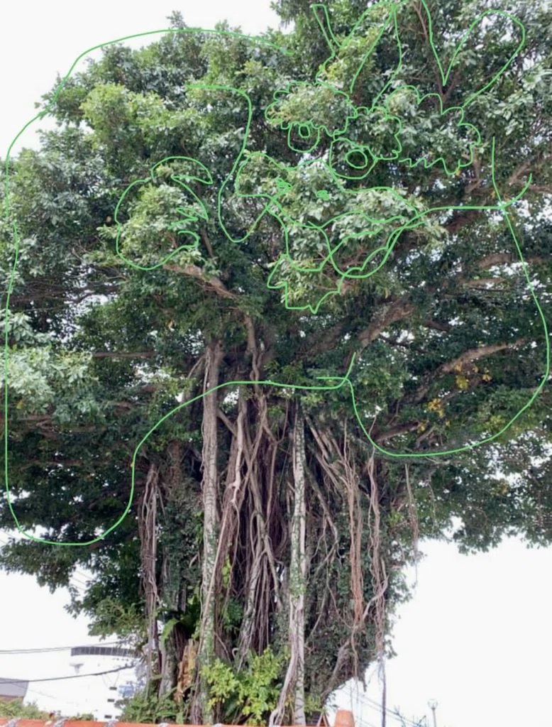 画像
