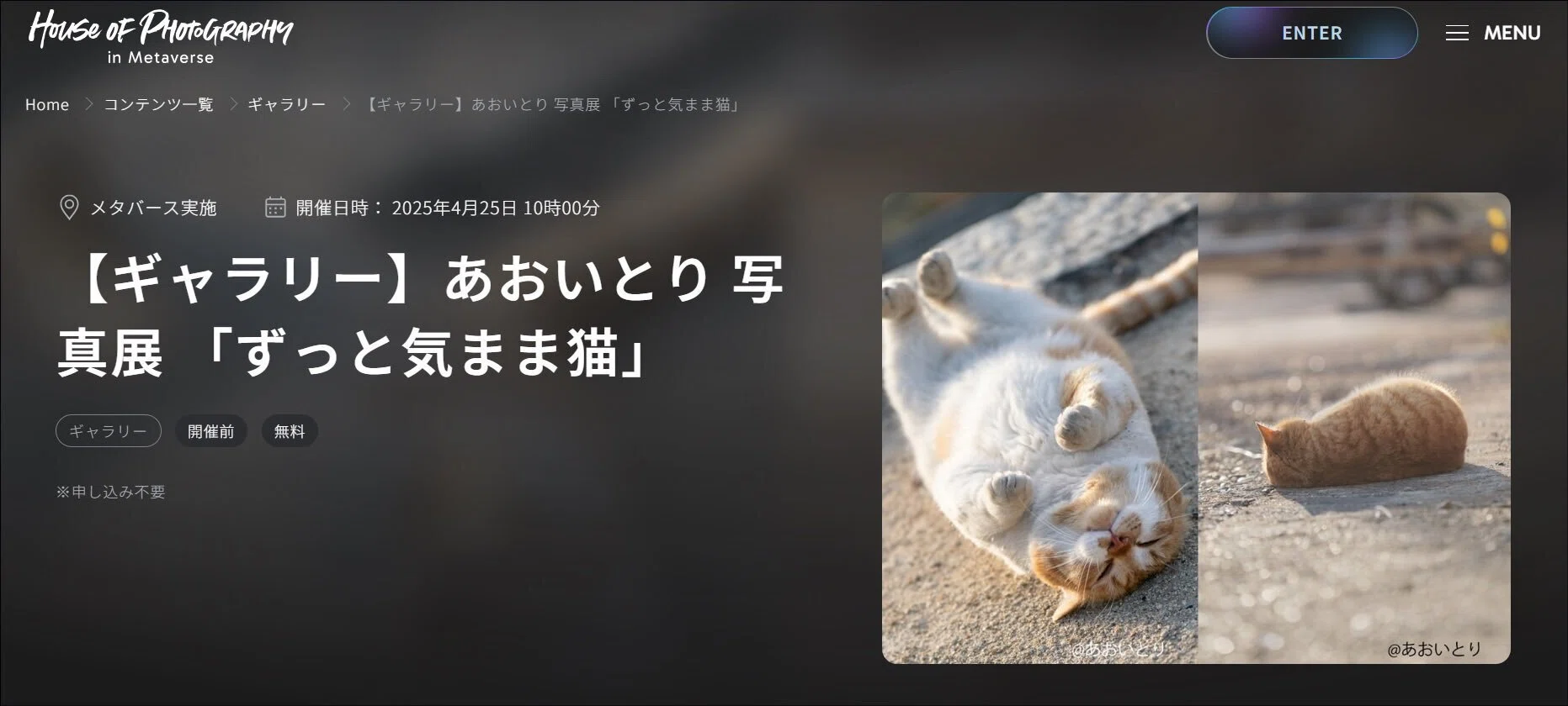 富士フイルムさんのメタバース空間で個展を開催｜猫写真家 あおいとり