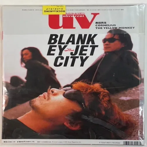 1064 アルバム論79｜SKUNK / Blankey Jet City（1995）｜パンクロック