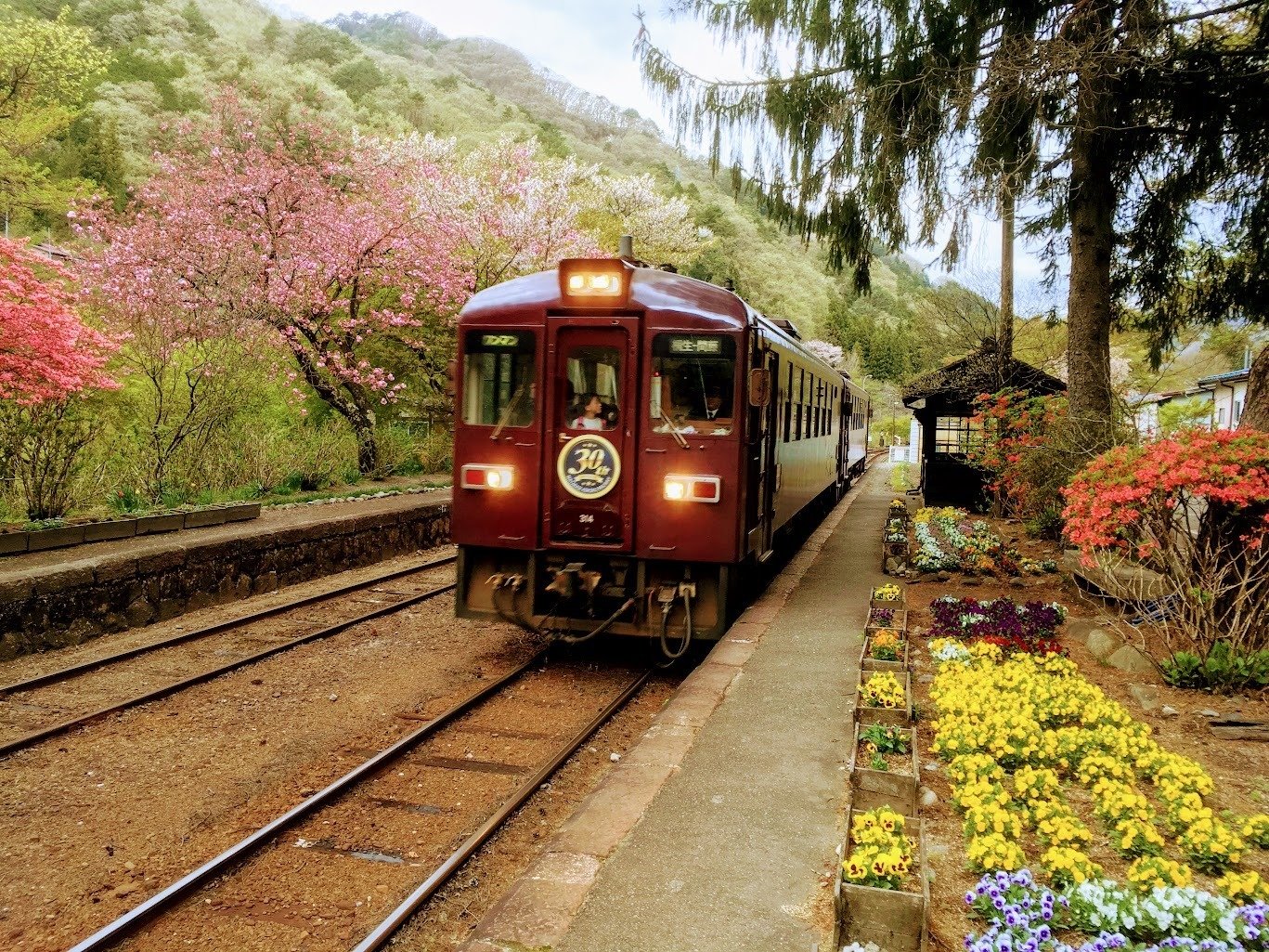ぽん太の鉄道旅：わたらせ渓谷鐡道｜赤川ぽん太