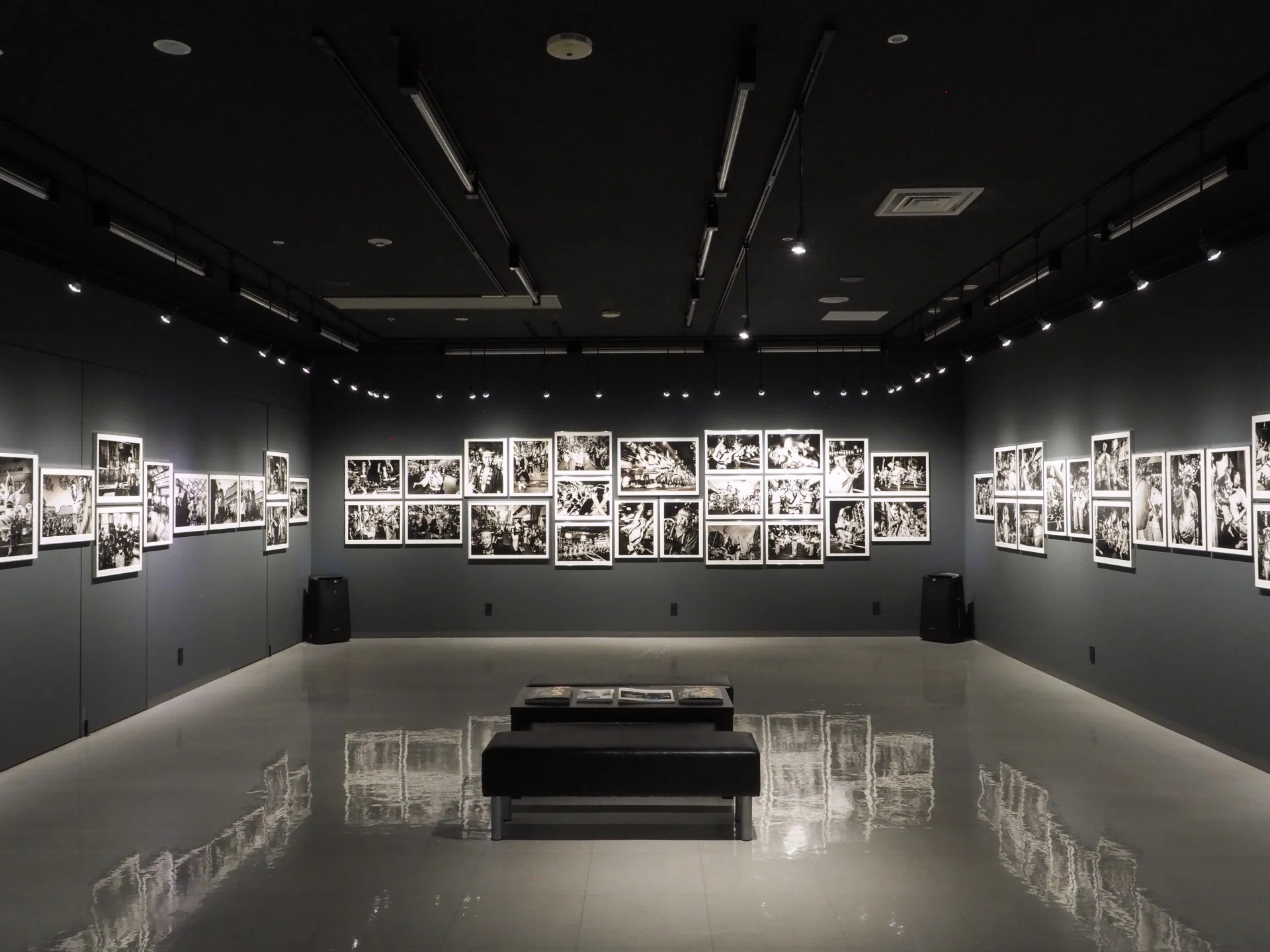 阿波おどりのざわめきや高揚感を写しだす。「Limelight2024」受賞者