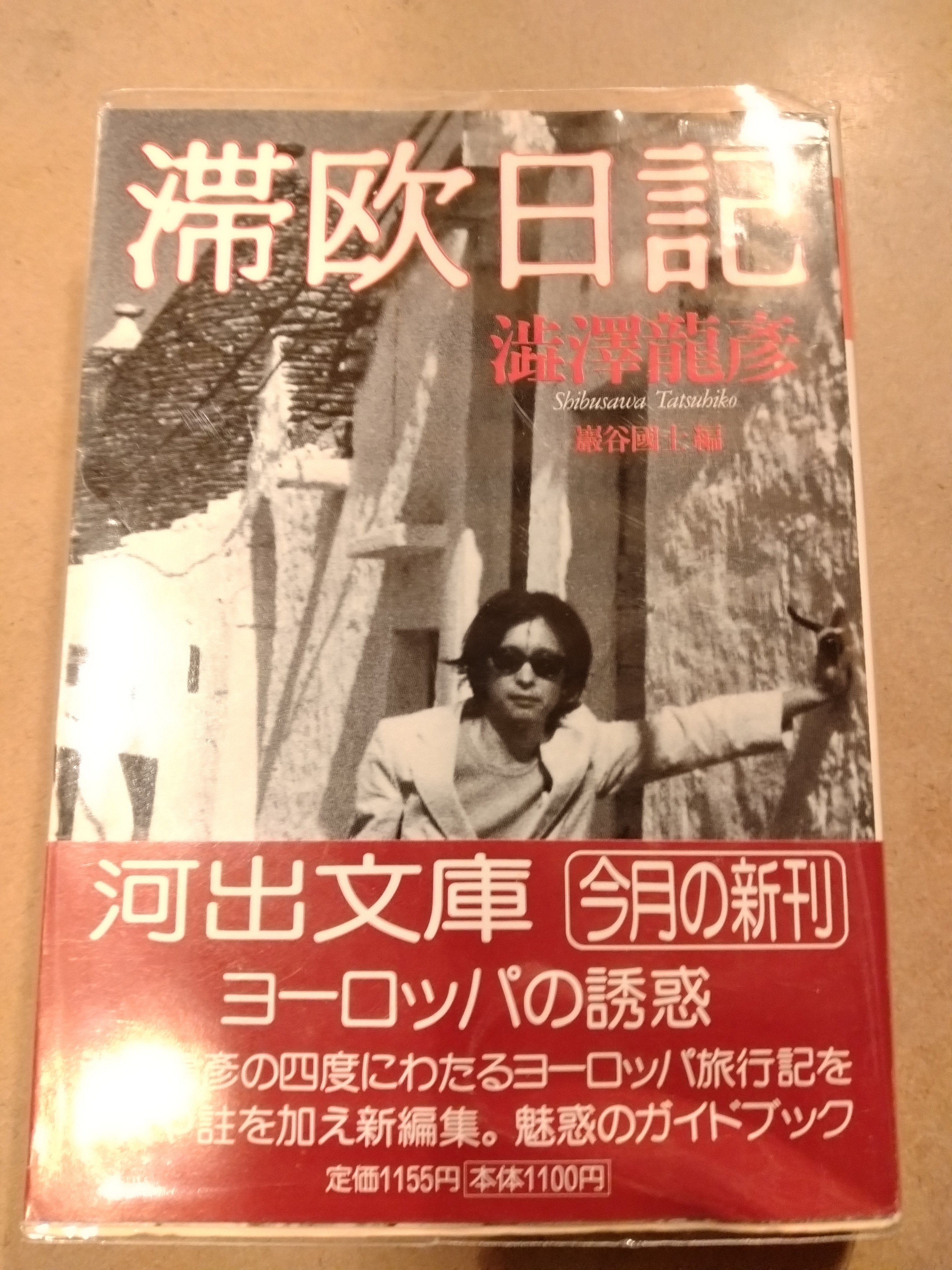 四天王寺の古本市に行ってきた｜三家明