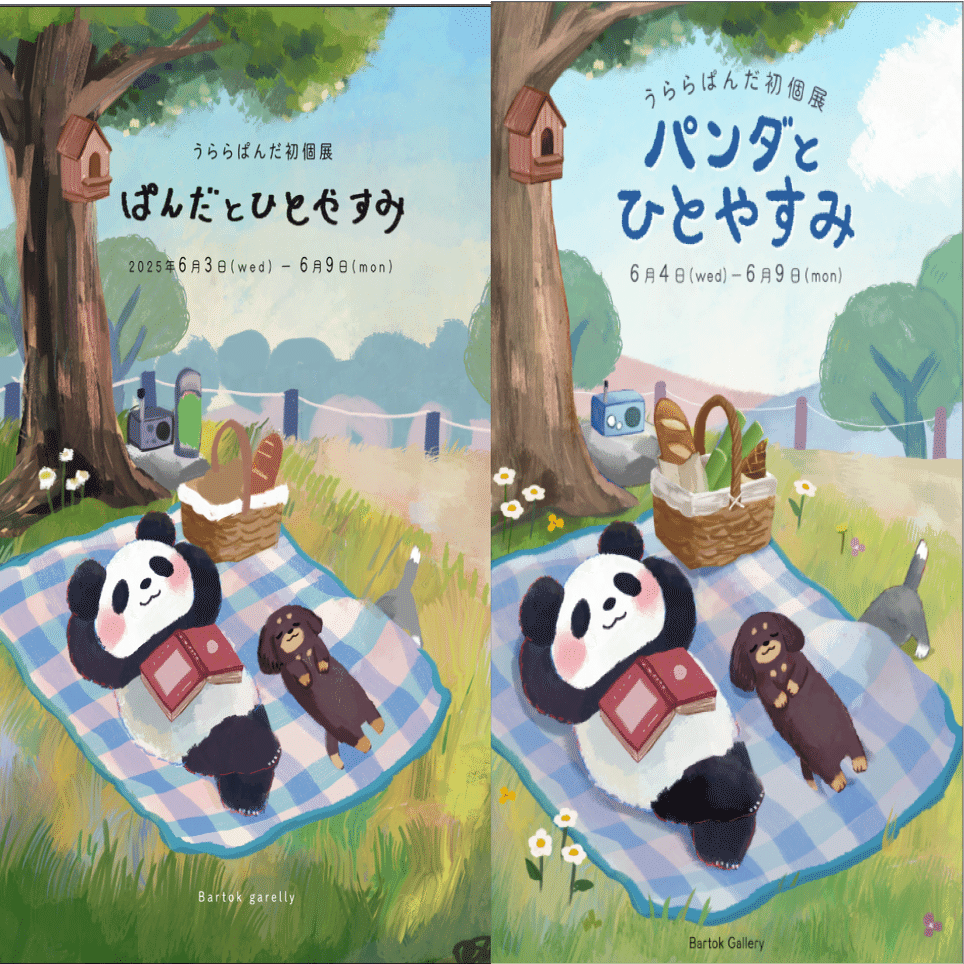 個展のDMのつくりかた (中編)｜うららぱんだ l 初個展