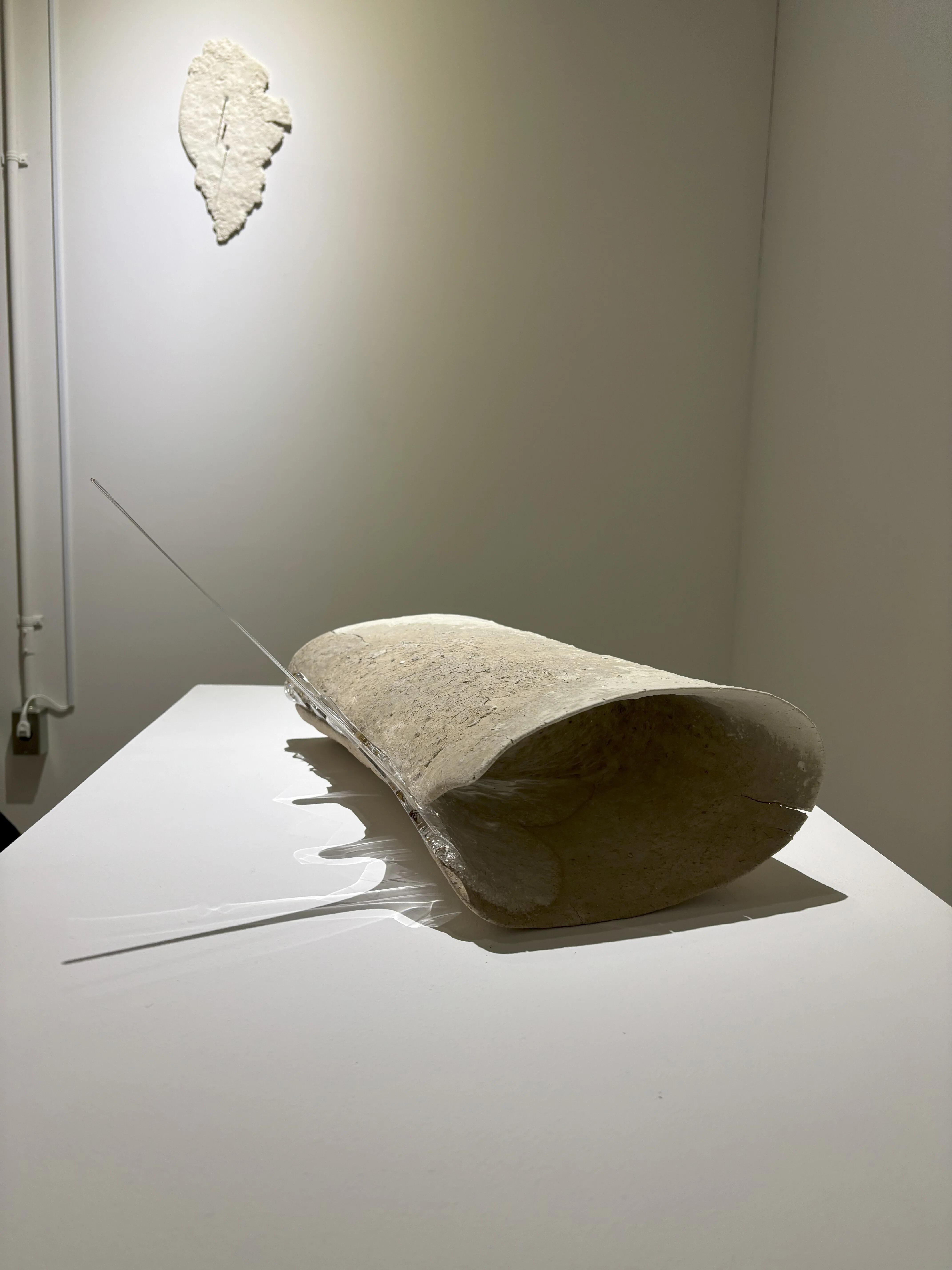 京都市立芸術大学の大西珠江の展示｜Saito Tsutomu