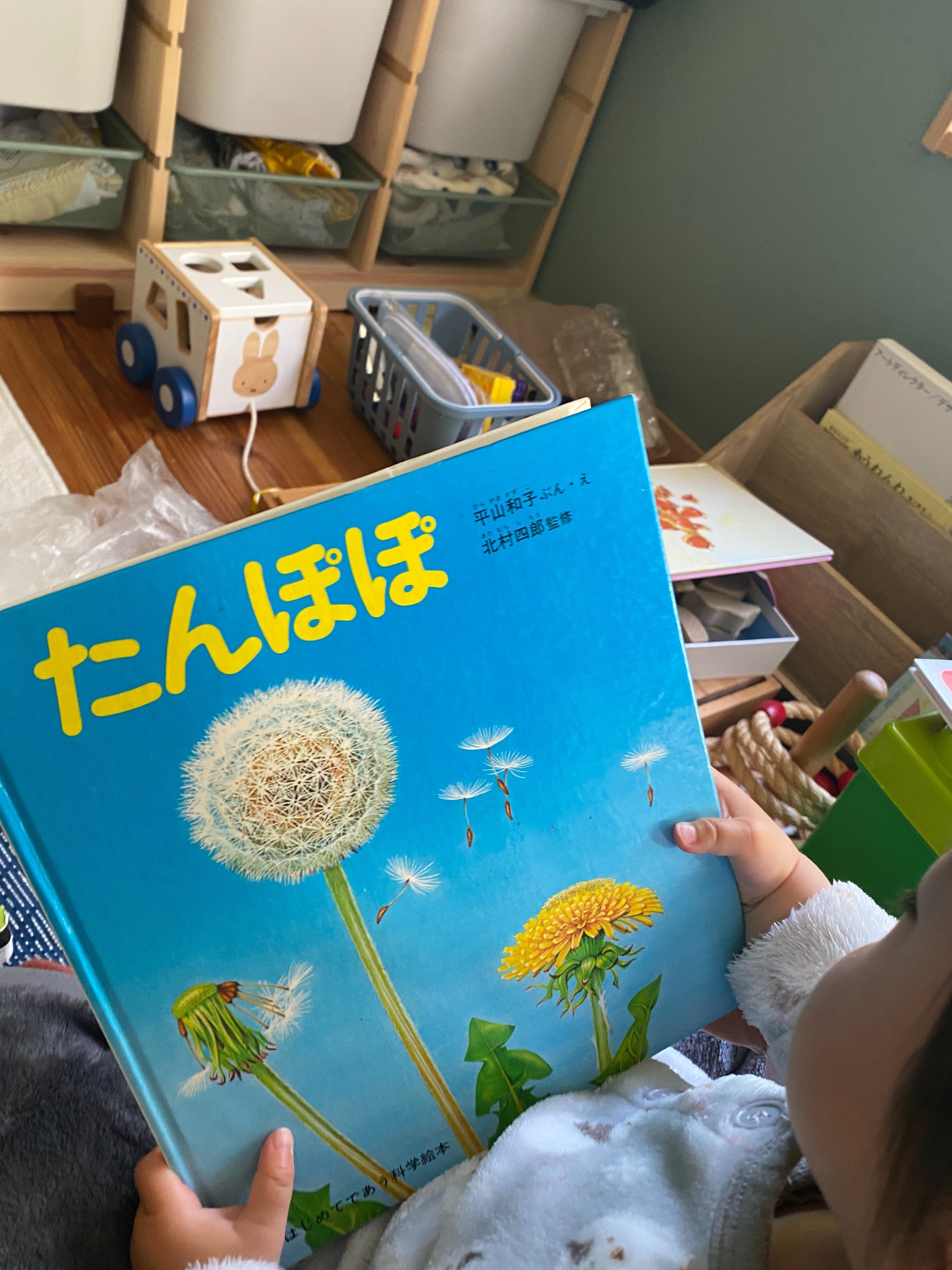 1歳児の心の動きを想像する #たんぽぽ #ほぼ日観察｜ささき ももこ