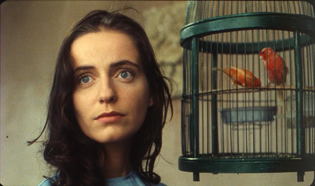 アブラハム渓谷 ('93ポルトガル/仏/スイス) アブラハム渓谷('93