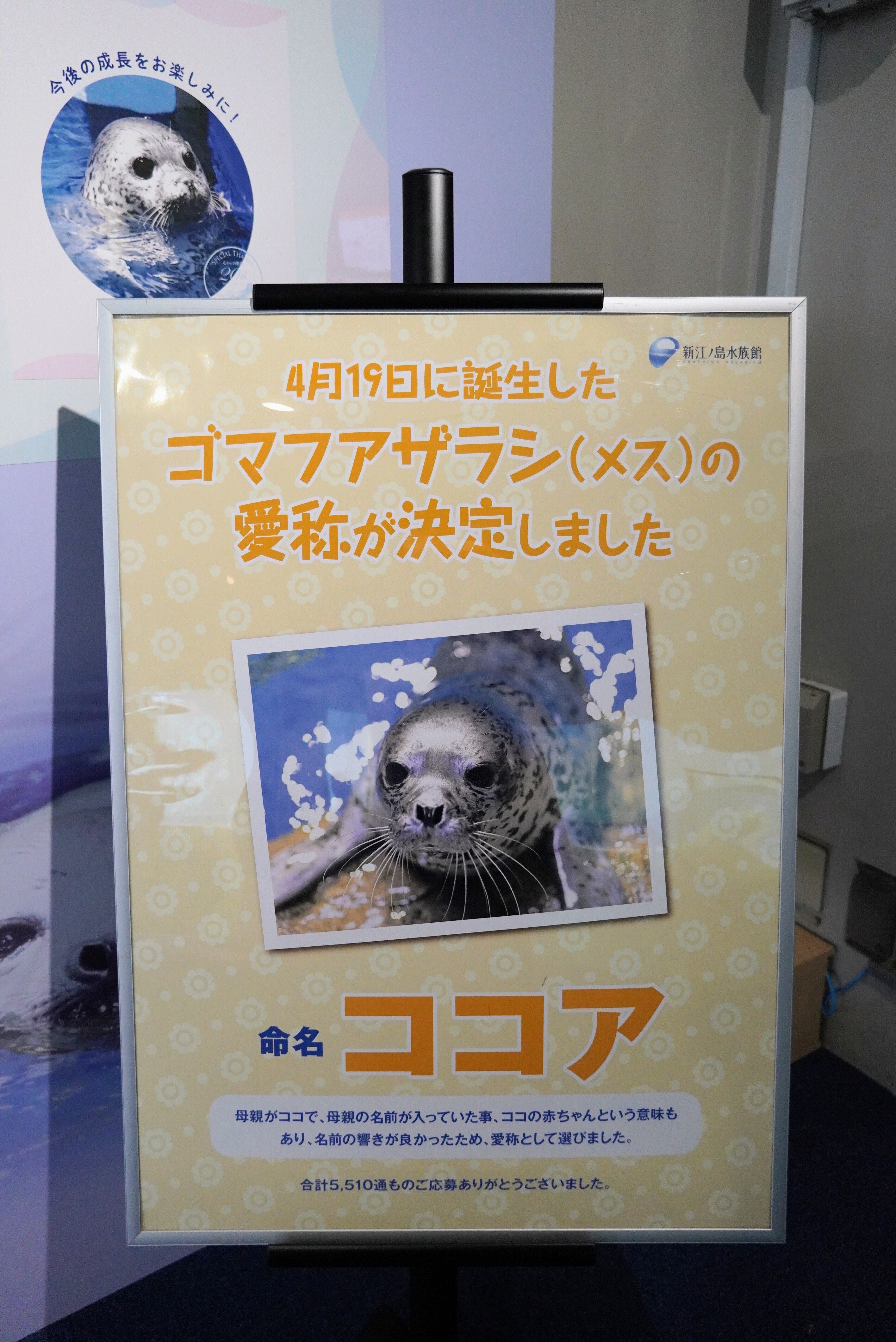 PS エコエコアザラク AX8300Sシリーズ：アラクサラネットワークス株式会社