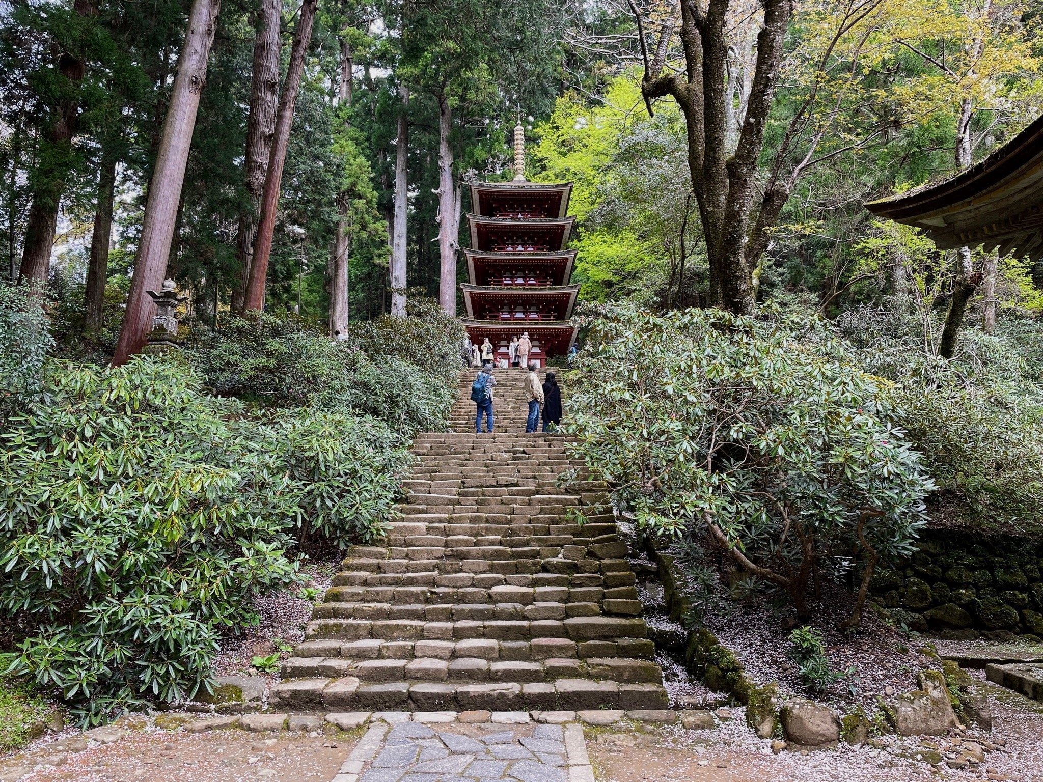 日本のどう　ガラス建築、室生寺他計4点 吉岡徳仁によるガラスのプロジェクト。 20年にわたって探求