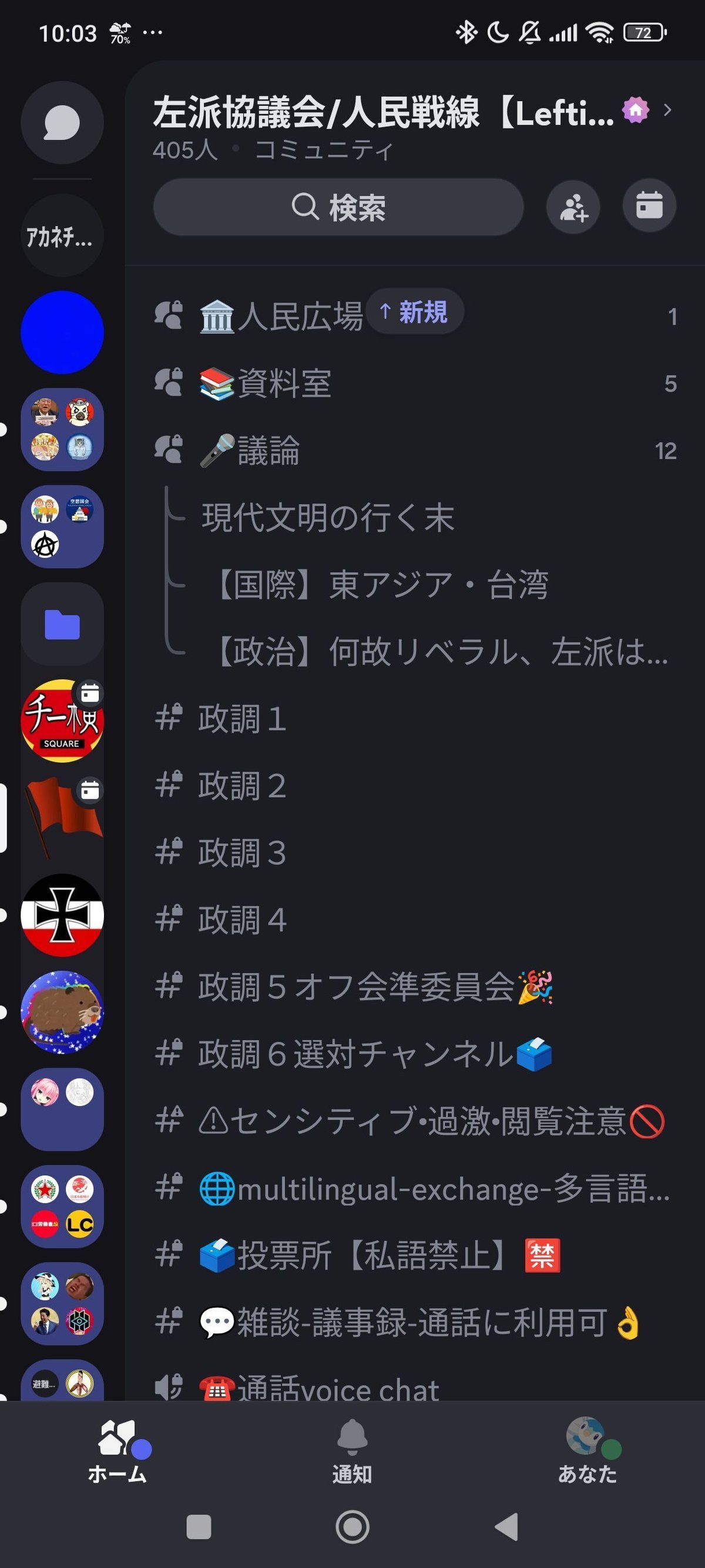 第三章（完結）、discordの交流とロール、ネットの和の中へ｜ドロバエ