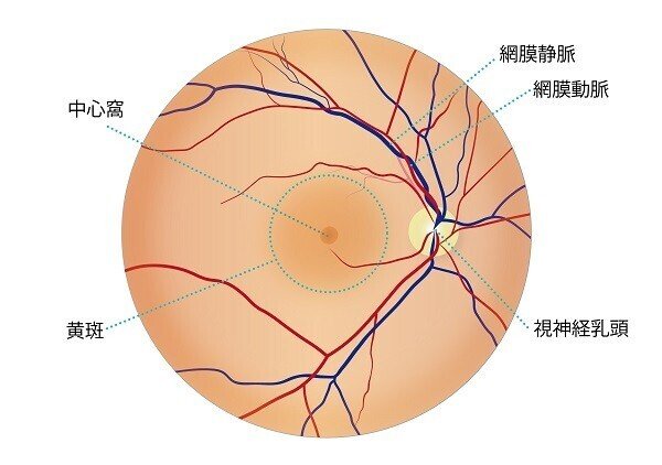 健全な精神は健全な眼に至る！？｜春日部中央総合病院