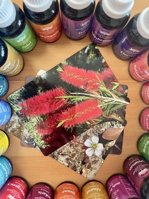 オーストラリアン・ブッシュフラワーエッセンスとは？｜Hiro Natural