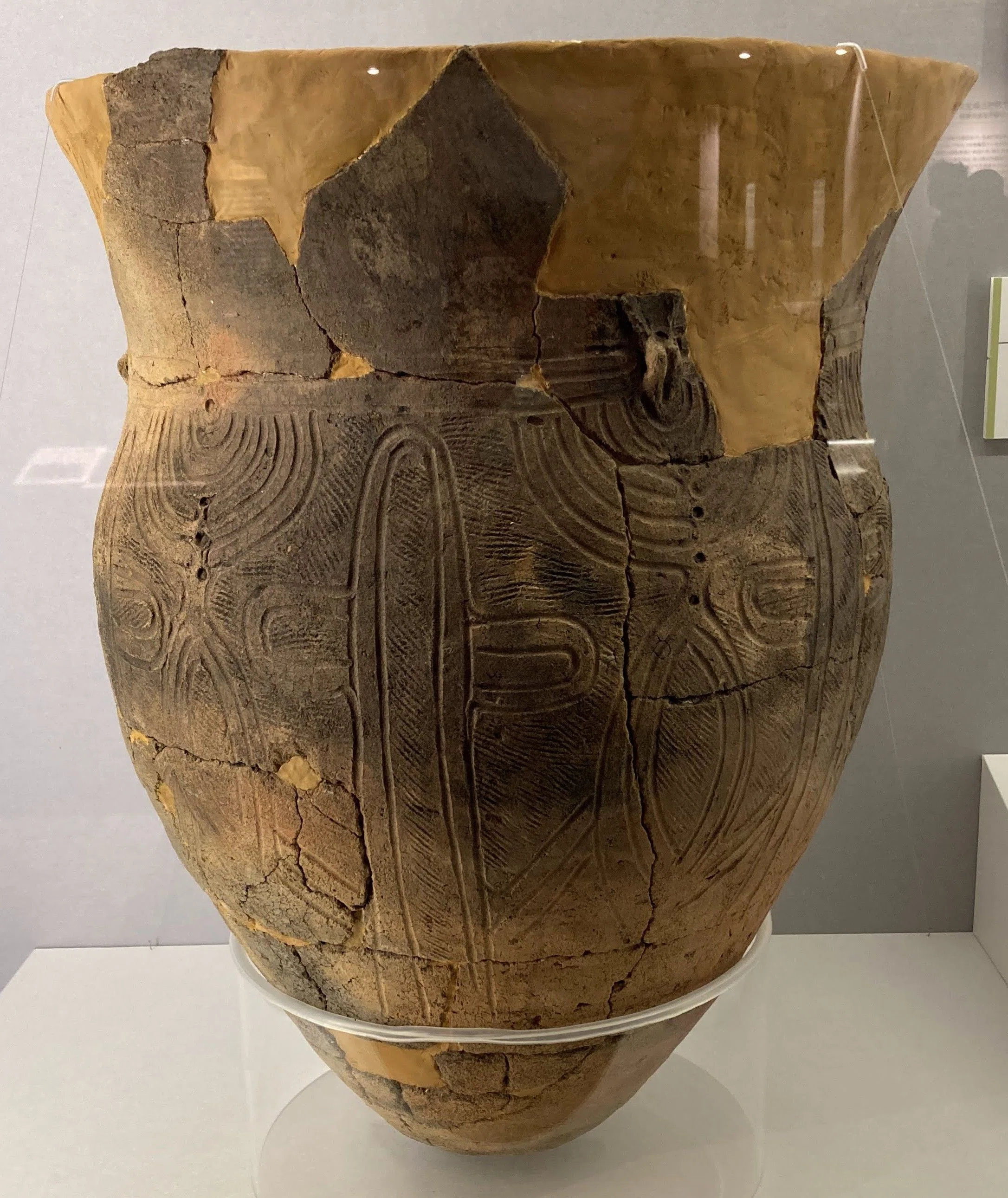 国立科学博物館 特別展「古代DNA ―日本人のきた道―」Special