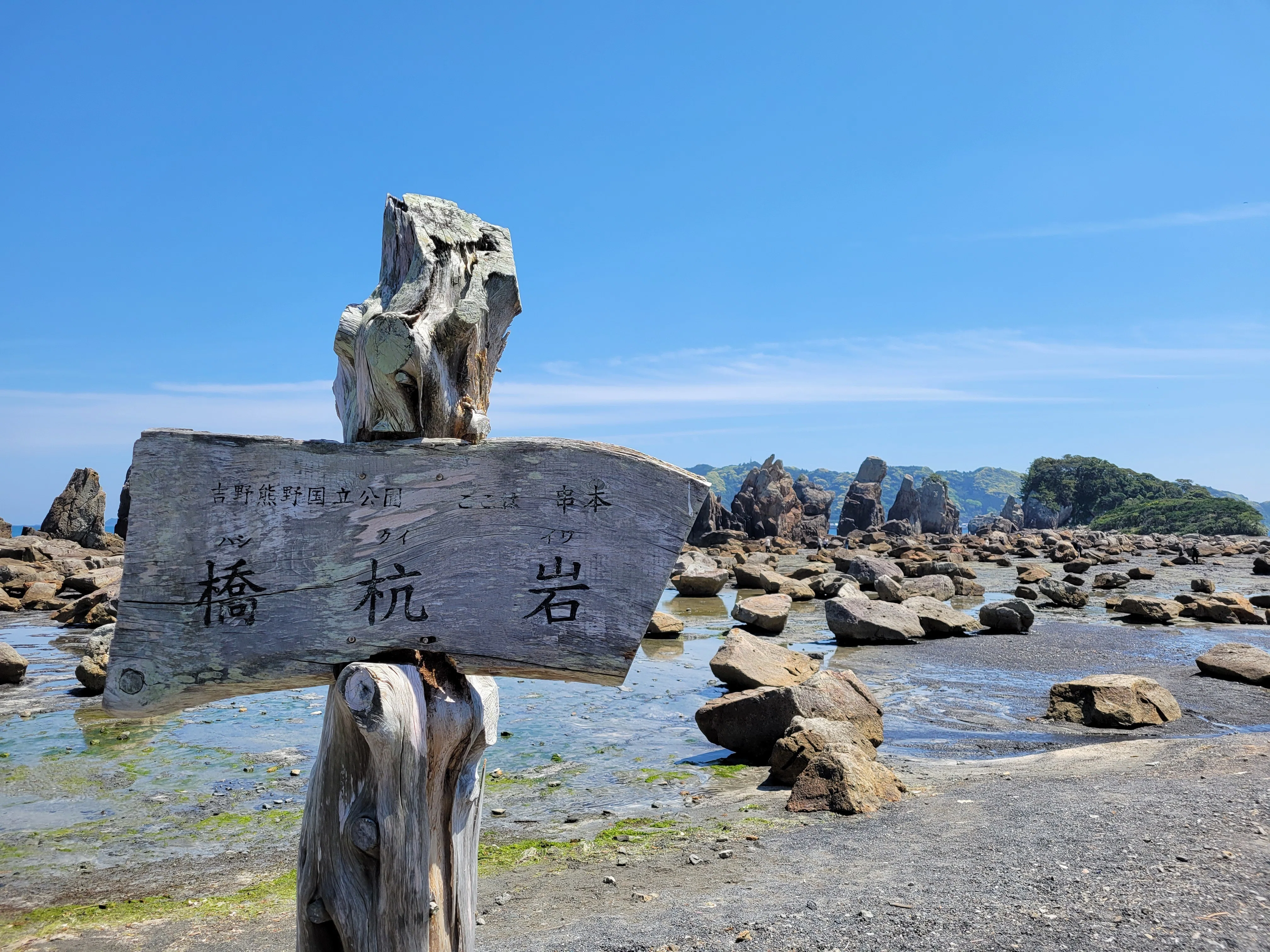 串本海中公園、くじらの博物館」2025年4月27日の日記｜燐