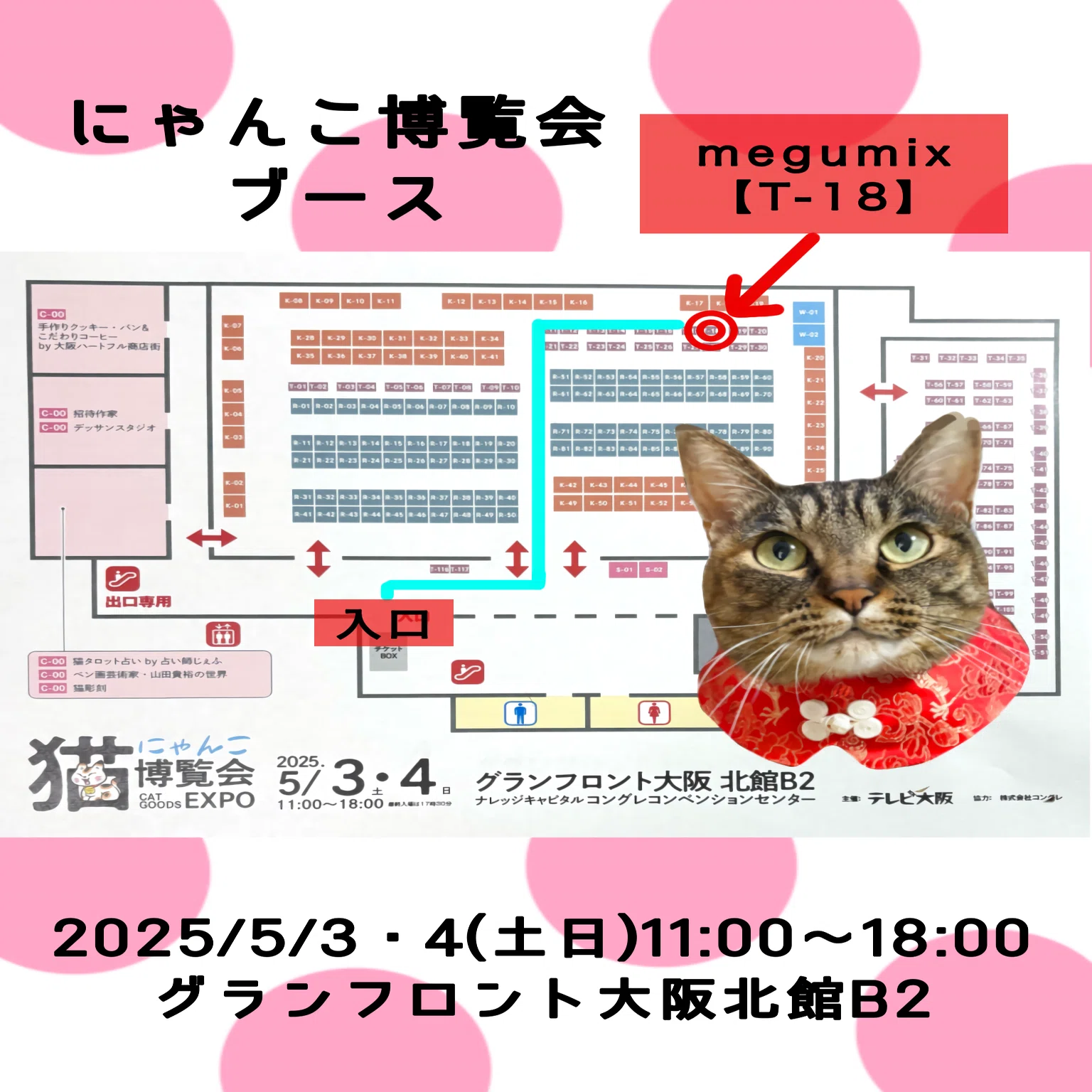 Nyanko Expo] Cat lovers, gather in Osaka for Golden Week❣️｜megumix
