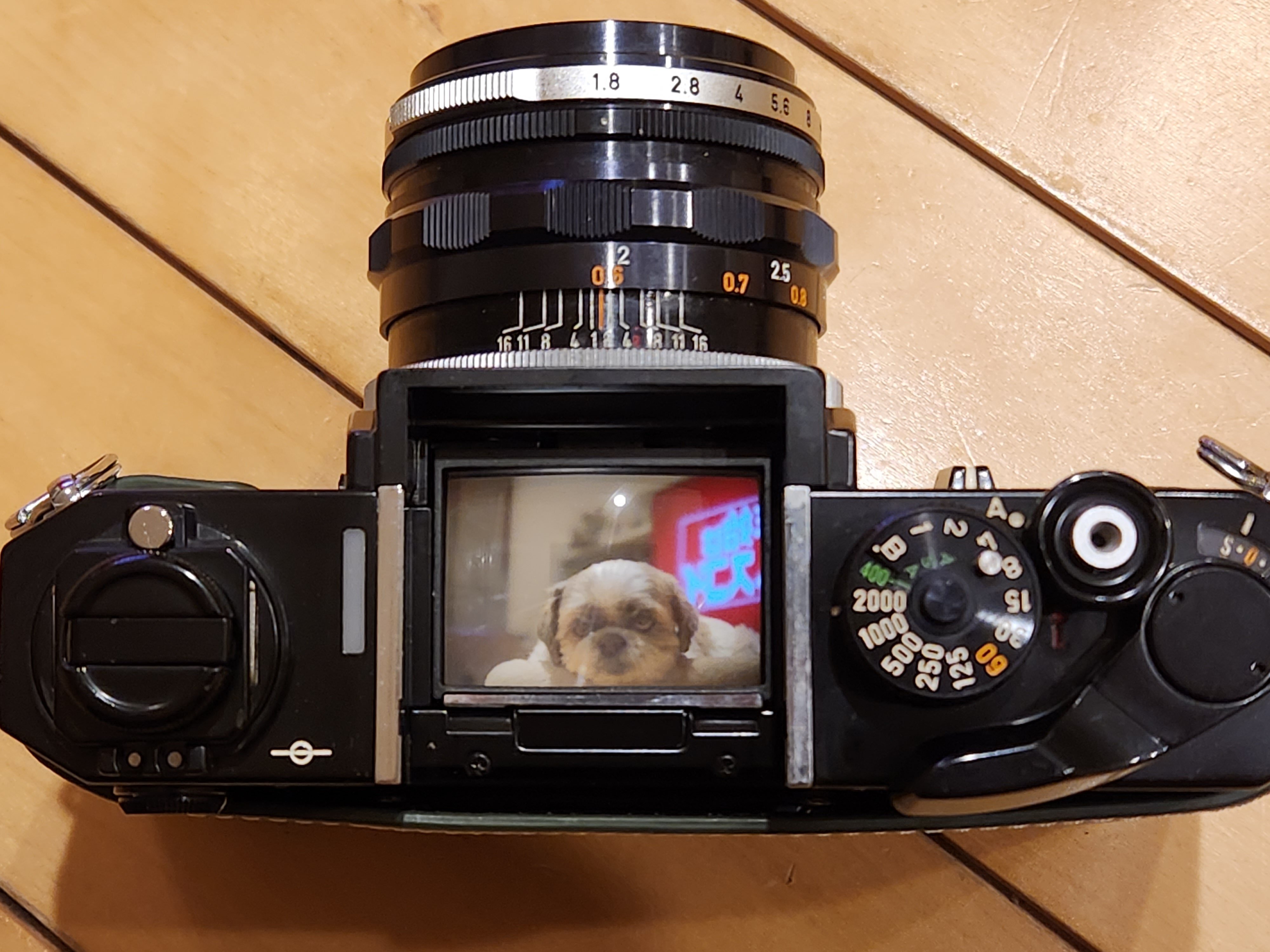 初めてのフィルム撮影、そして盛大に失敗した話｜Kenta Mizune