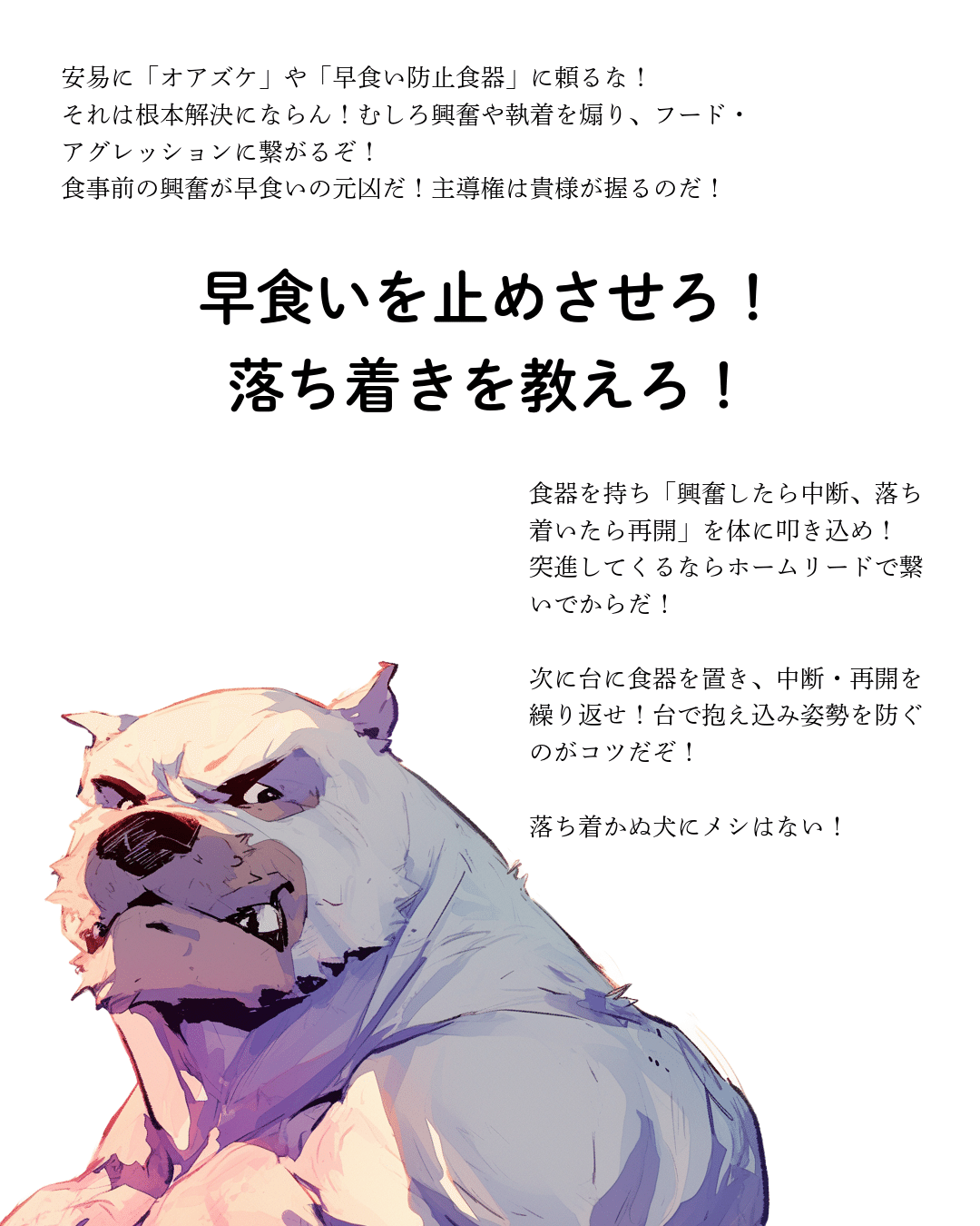 早食いを止めさせろ！落ち着きを教えろ！｜もりたさんちのマルチーズ