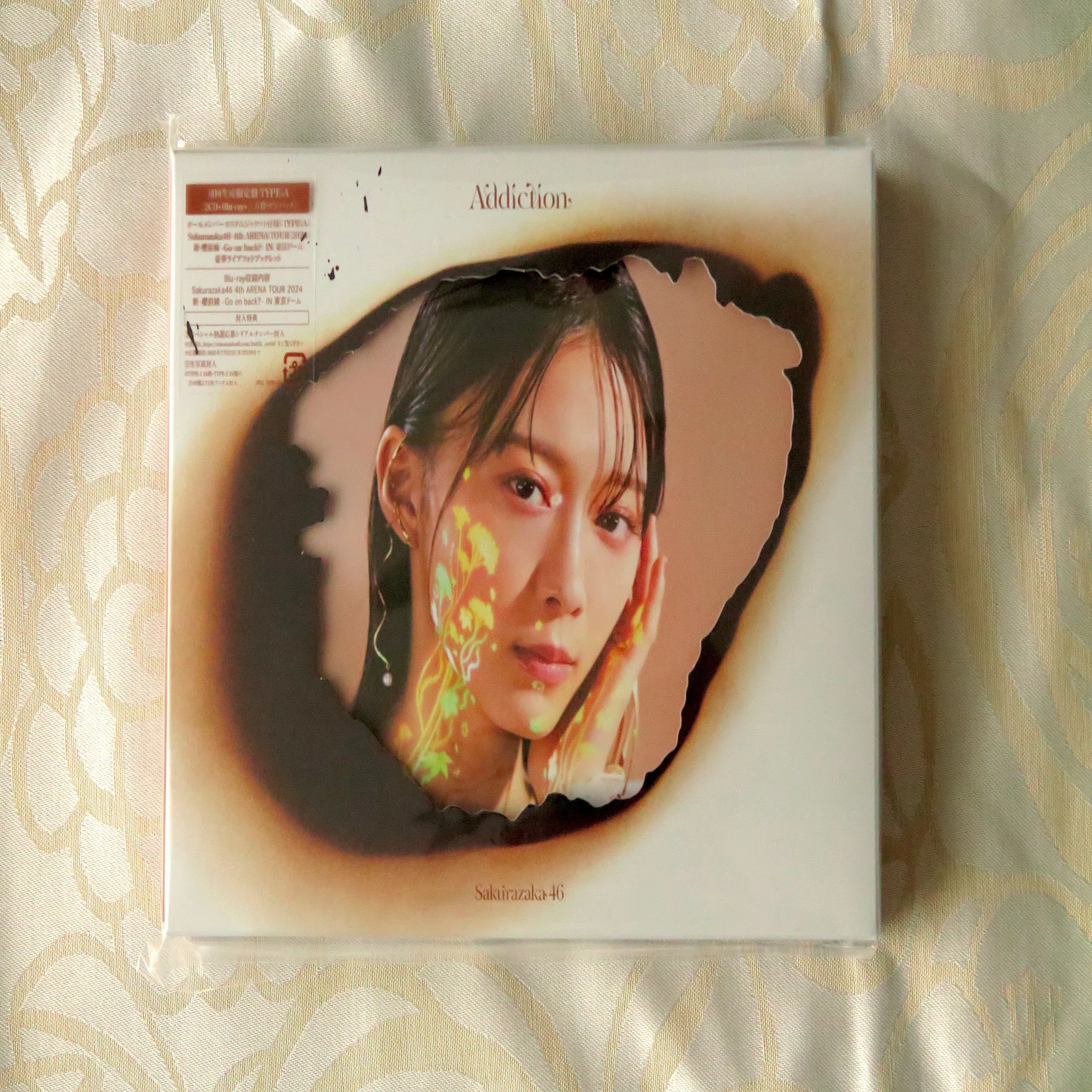 櫻坂46 森田ひかる 生写真 Addiction 封入 コンプ 森田ひかる 公式生 