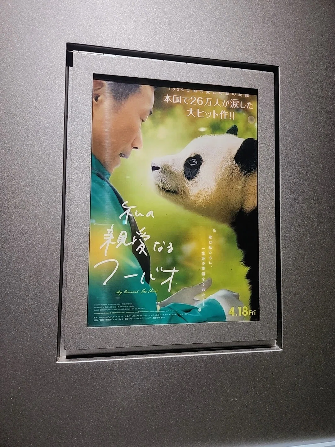愛は惜しみなく。韓国生まれのパンダと飼育員のドキュメンタリー『私の