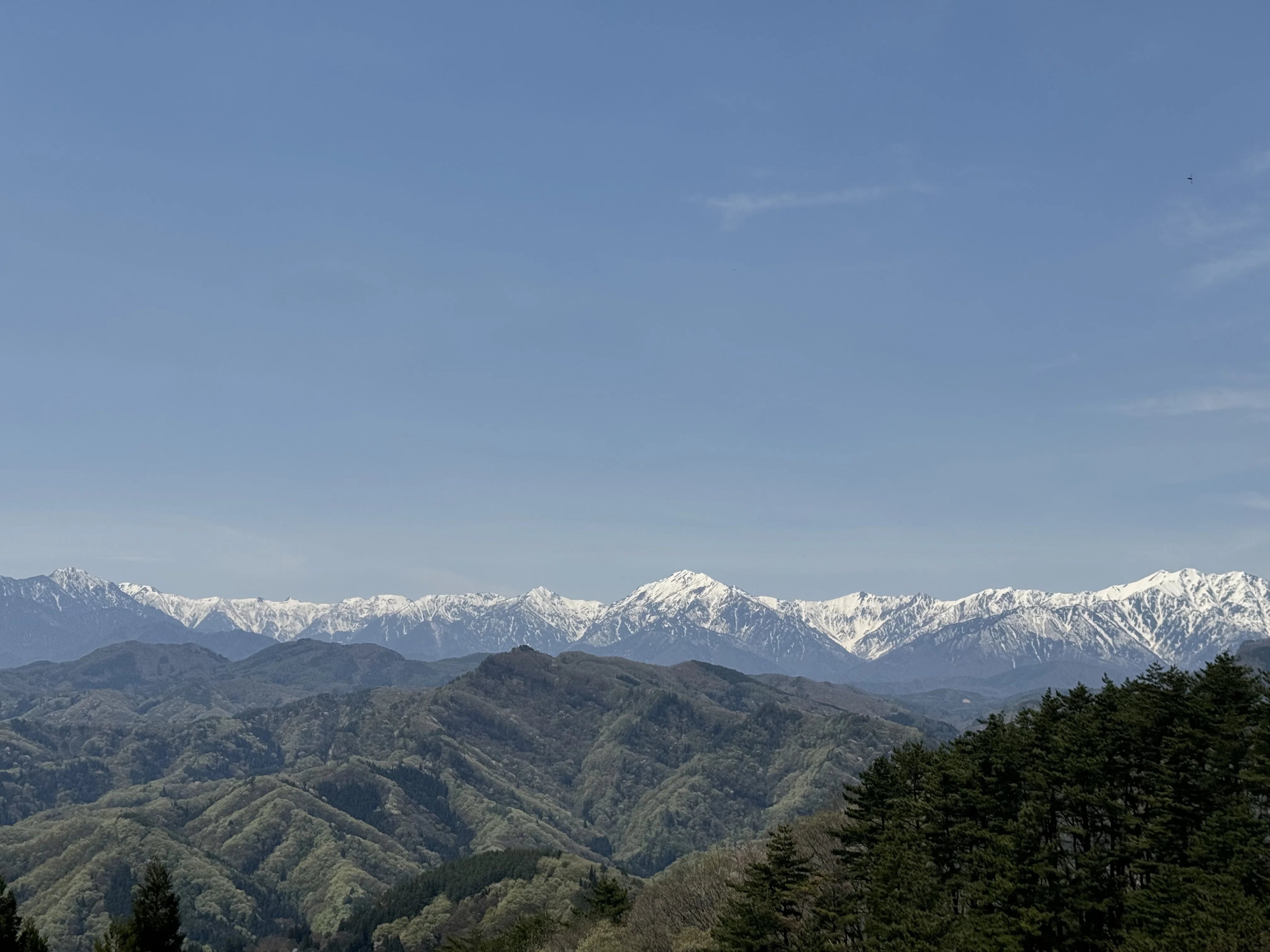 🏔️美しき信州の春を巡る日帰り旅 〜 絶景の北アルプスとビーナス