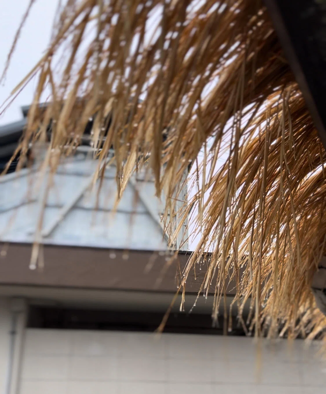 雨の日に♪|田舎でシーシャカフェ HIROの気まぐれ日記