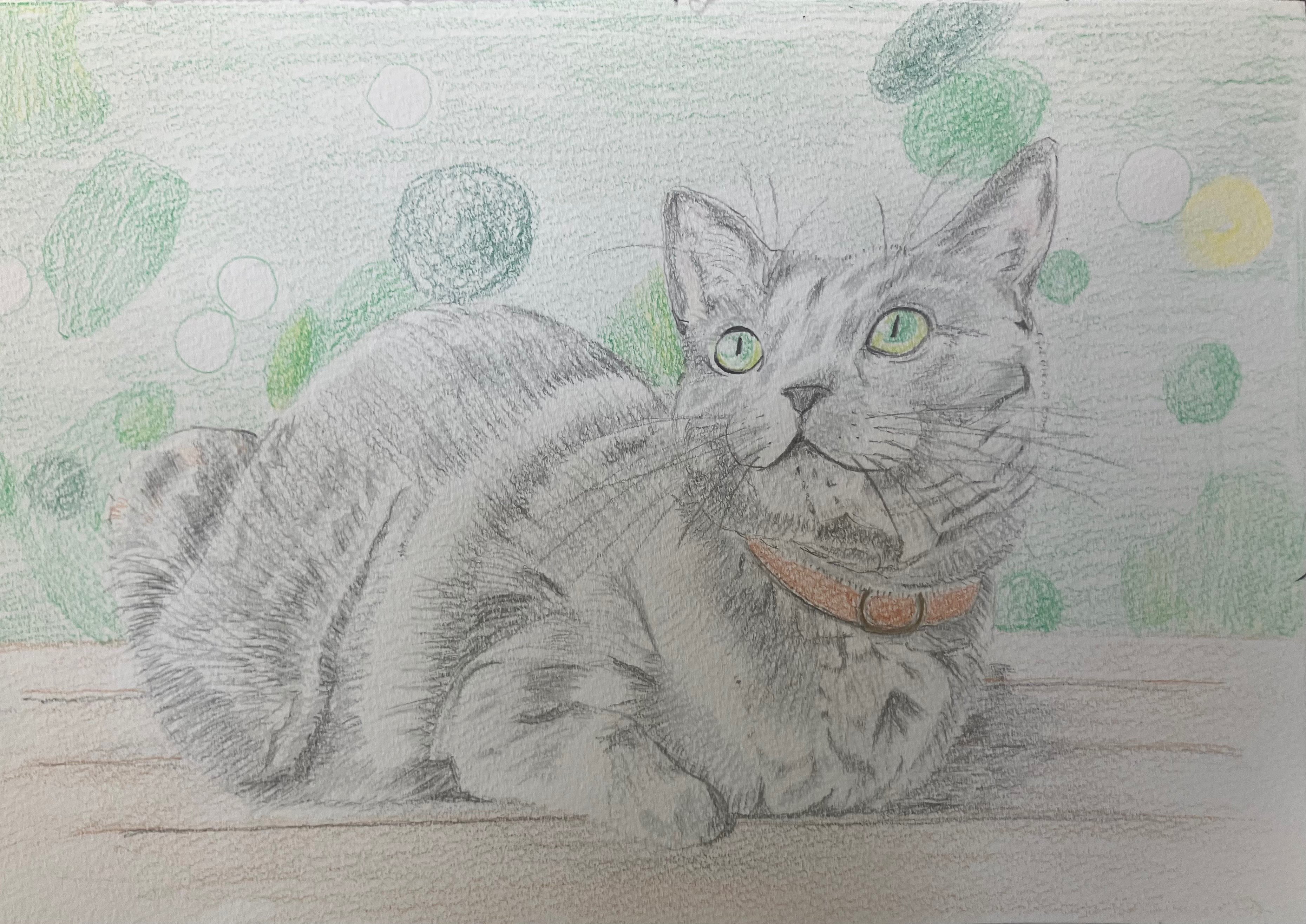 色鉛筆画 A4.猫 クリスマス7 色鉛筆画 A4.猫 クリスマス