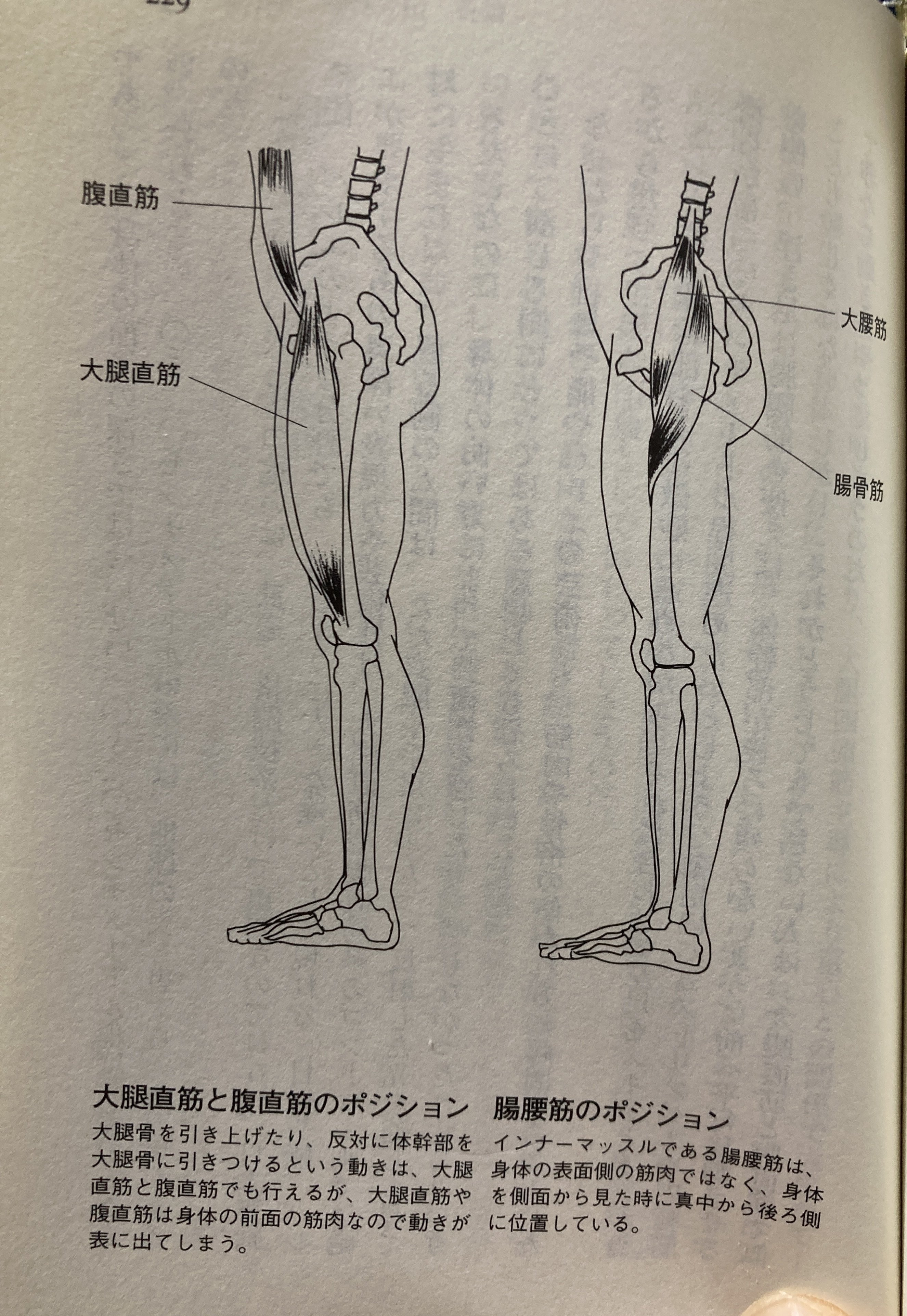 読書メモ】究極の身体/高岡英夫｜ねこゆう