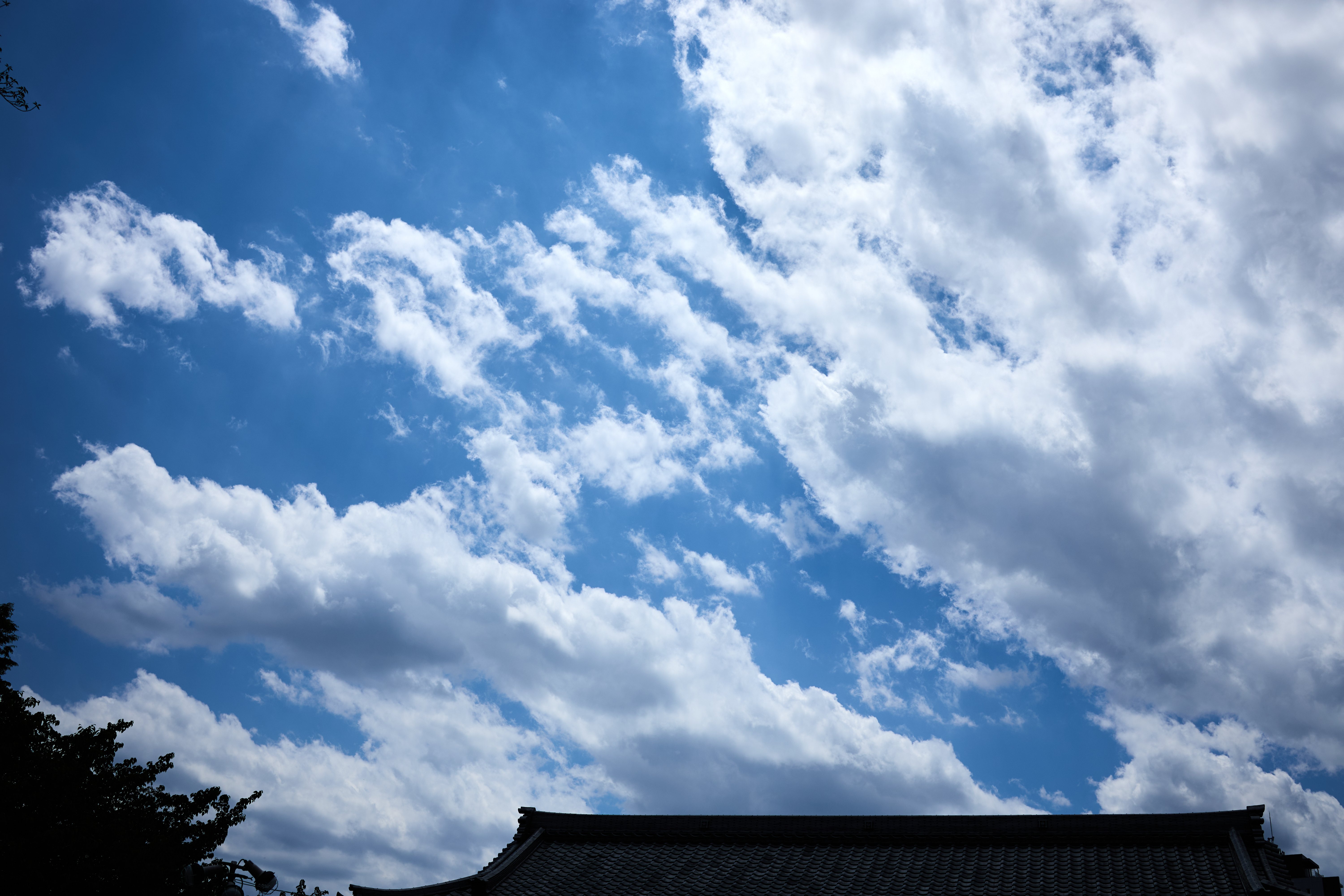 天気がいいから、新しいレンズで試し撮りしてきた [Canon 天気がいいから、新しいレンズで試し撮りしてきた [Canon