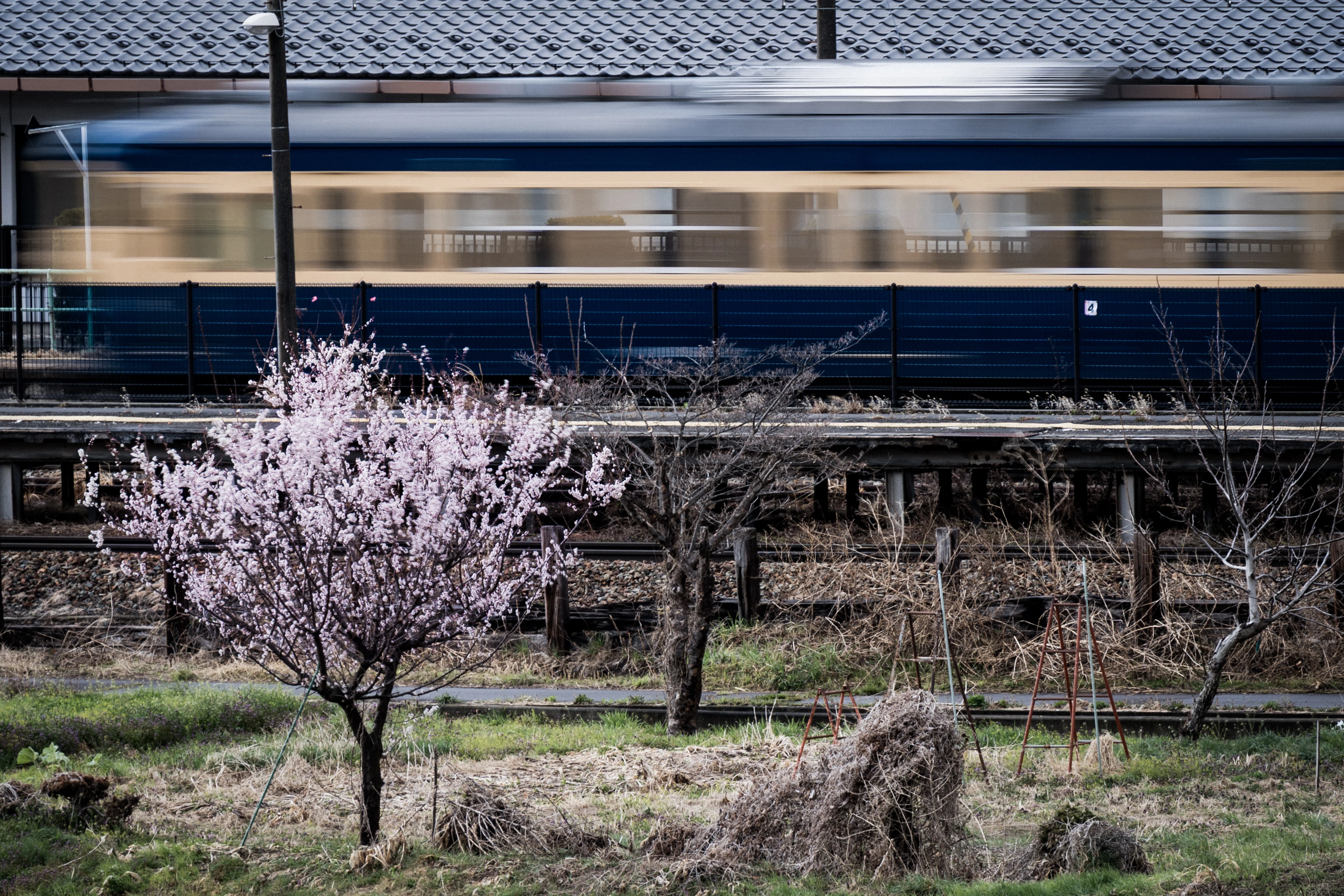 北信州に春を求めて しなの鉄道編 (2025.4.13)｜御竃