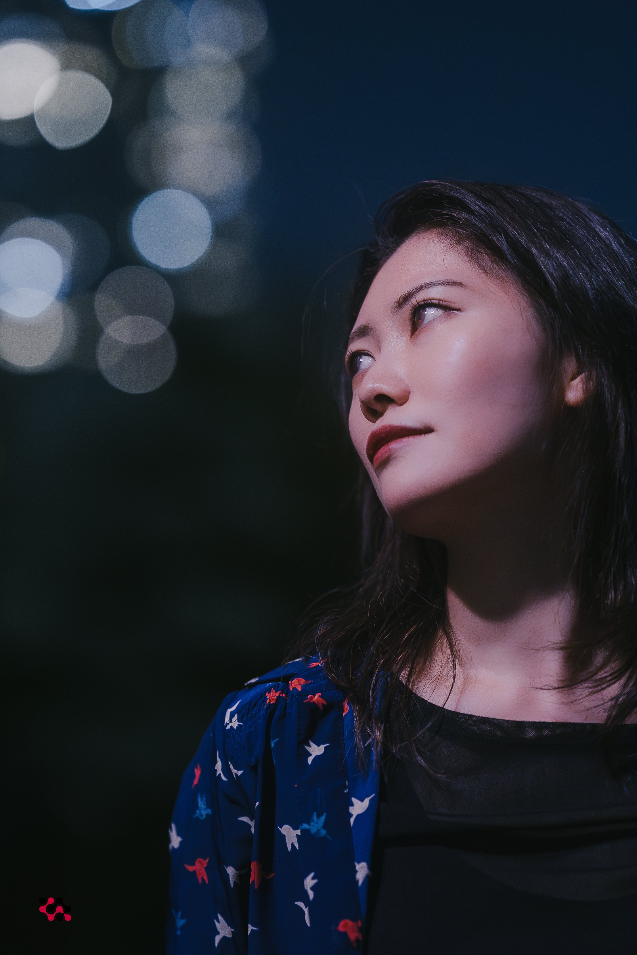 原画ポートレート 21話 Canon/SONY】ポートレートを撮っている私がこのカメラを選んだ