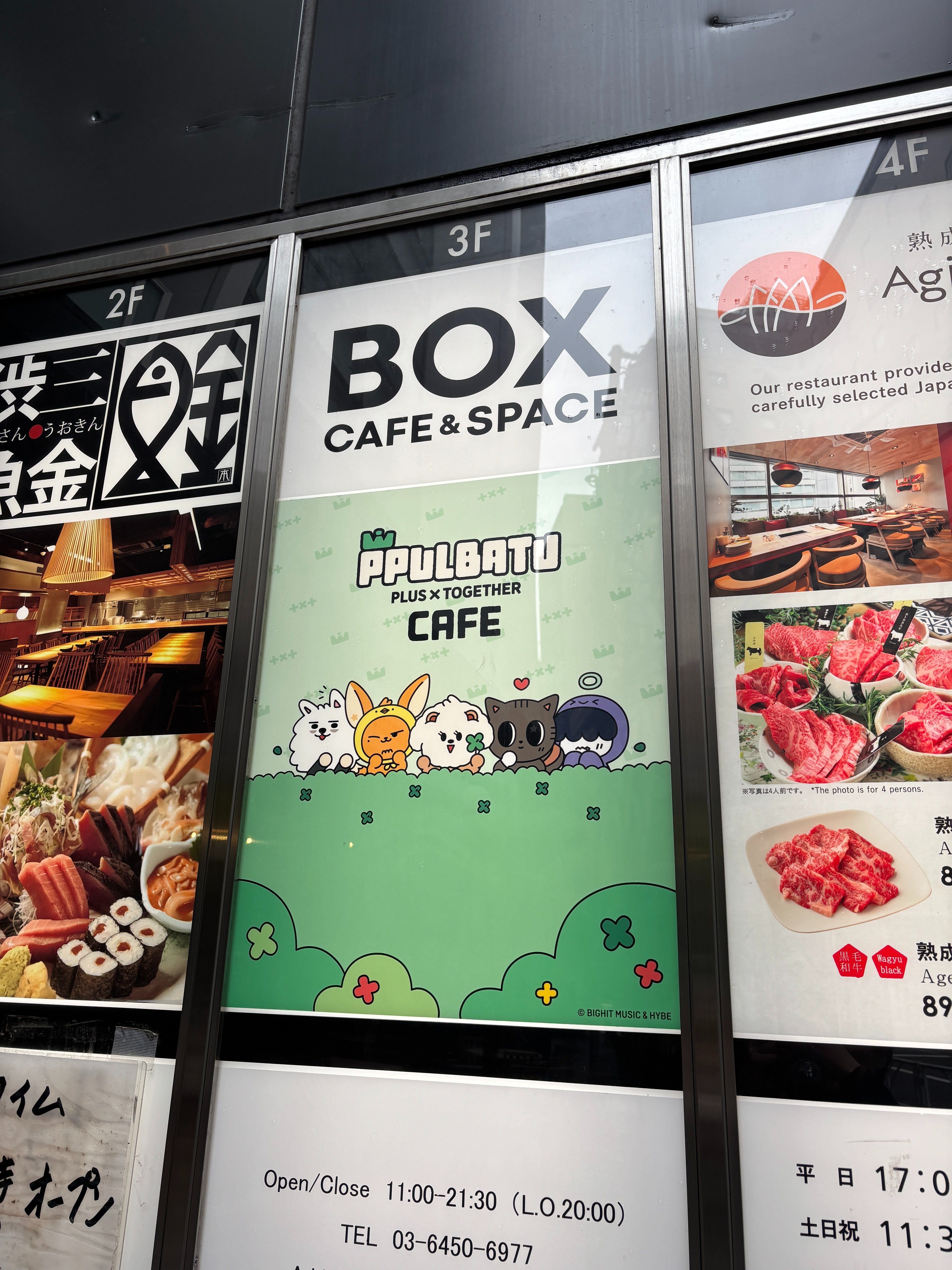 人生初のコンカフェがプルバトゥカフェでよかった｜もあろぐ！（MOALOG）