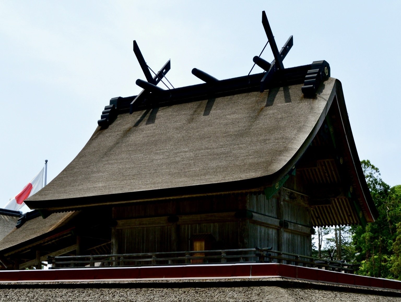 冬ギフト  縁起物】住吉大社、出雲大社、金生稲荷神社他 （春のつつじと その他