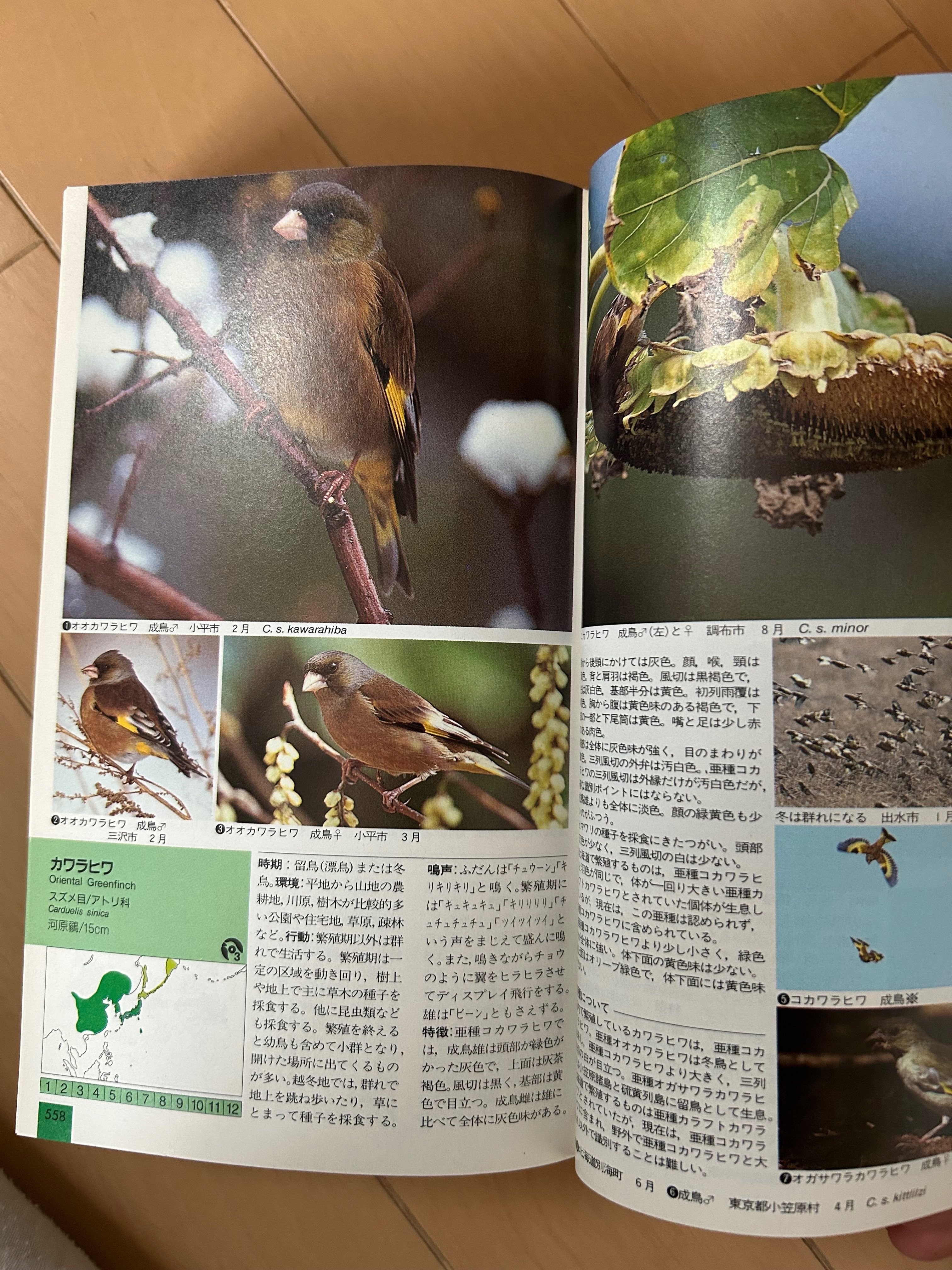 最近の野鳥図鑑と野鳥関連本など｜TOLIMAN