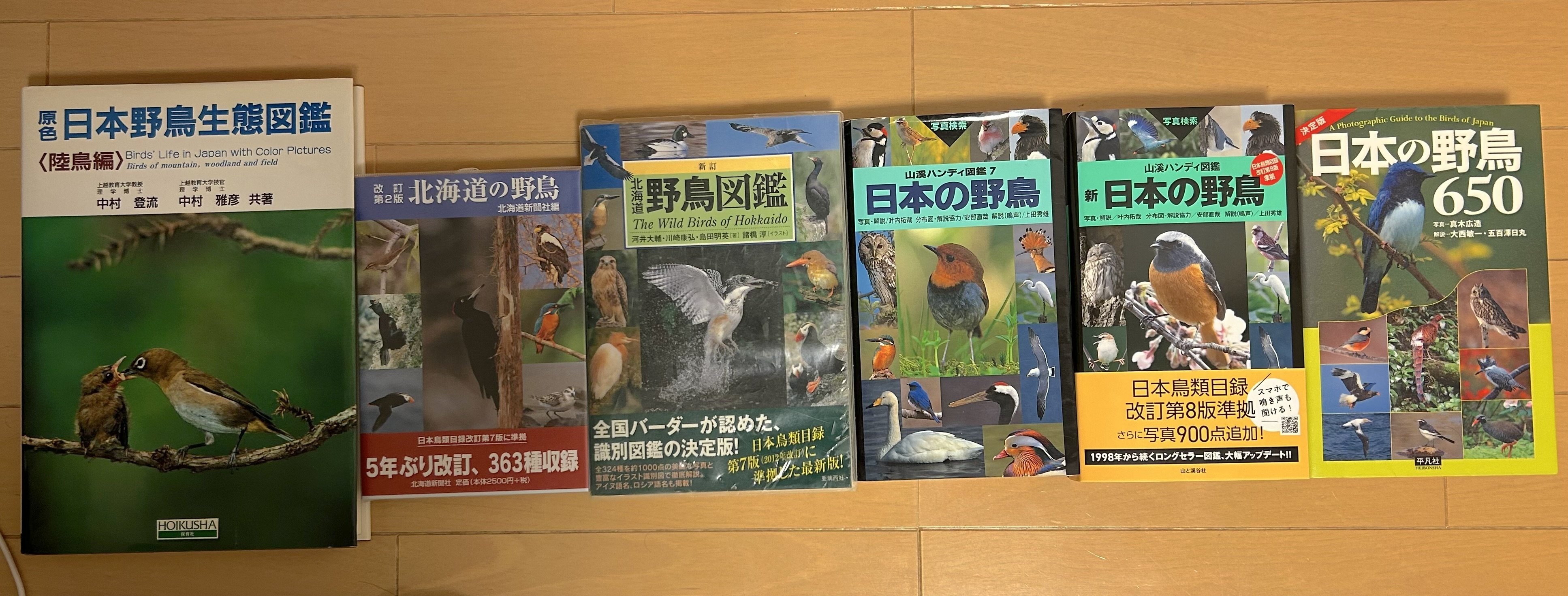 剥製の鳥（多色・木製台座） 木製巣箱 角型 小型サイズ 小鳥・インコの巣箱 : とりっぴー小鳥