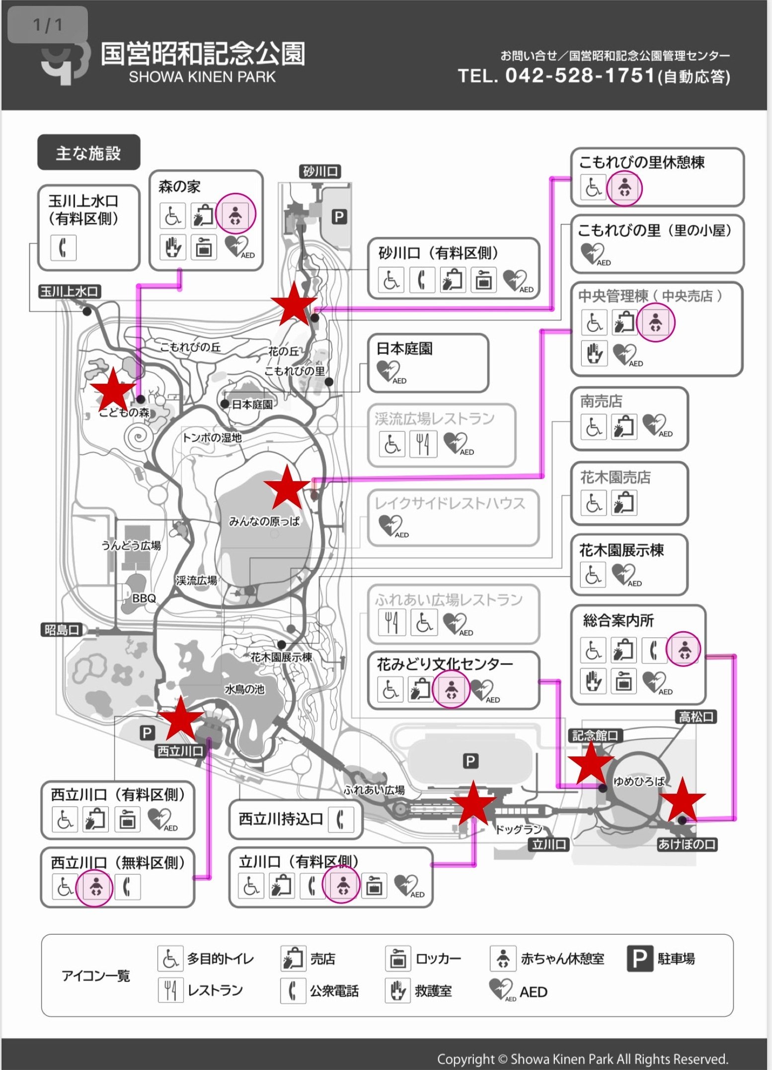 立川】0歳の息子と行く！国営昭和記念公園のがんばりすぎない楽しみ方