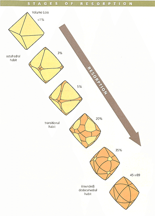 天然ダイヤモンド原石の5つの形｜ダイヤモンドの原石商