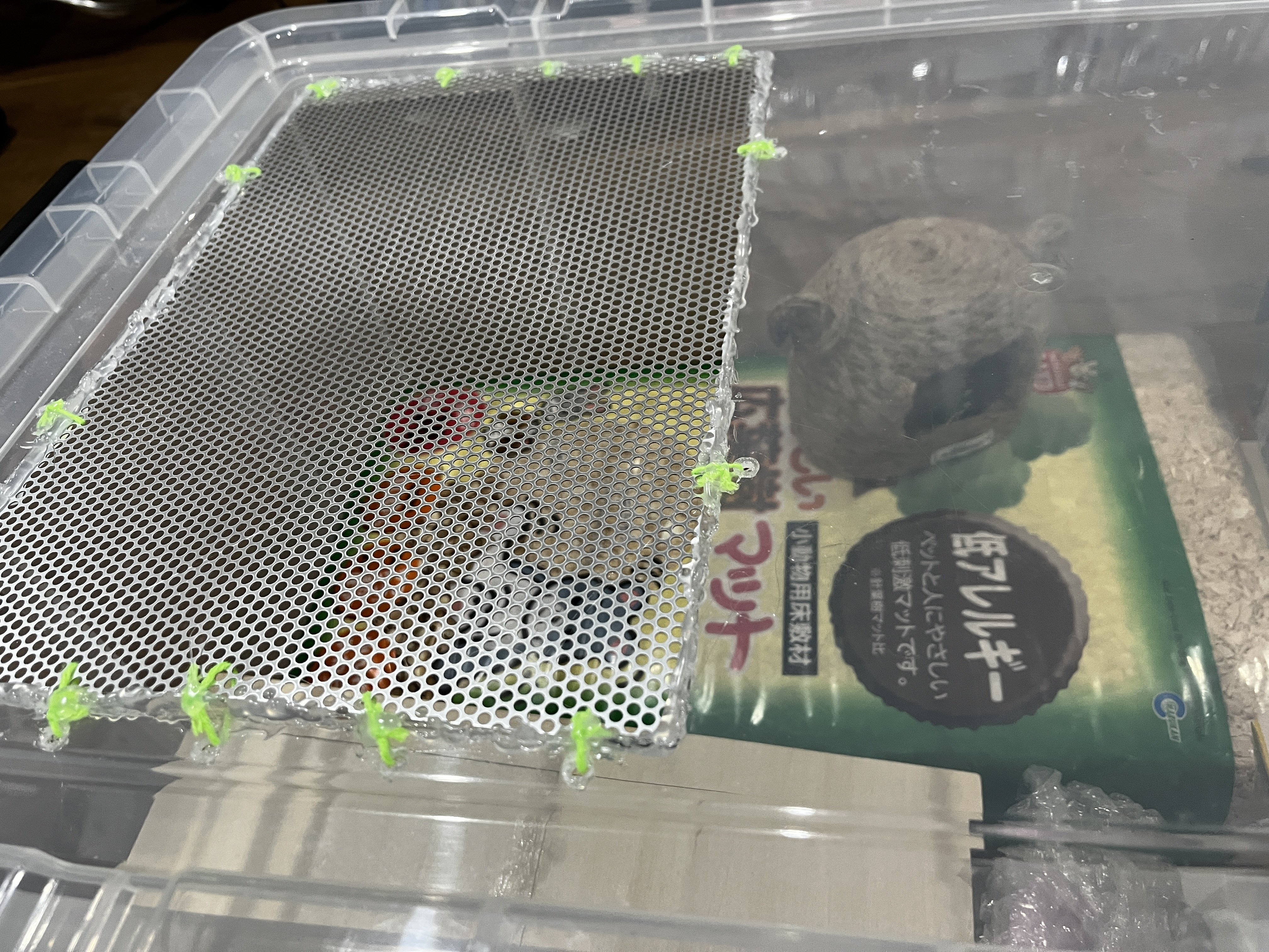 ハムスターが急遽明日くることになったので、お母さん本気出してハム家