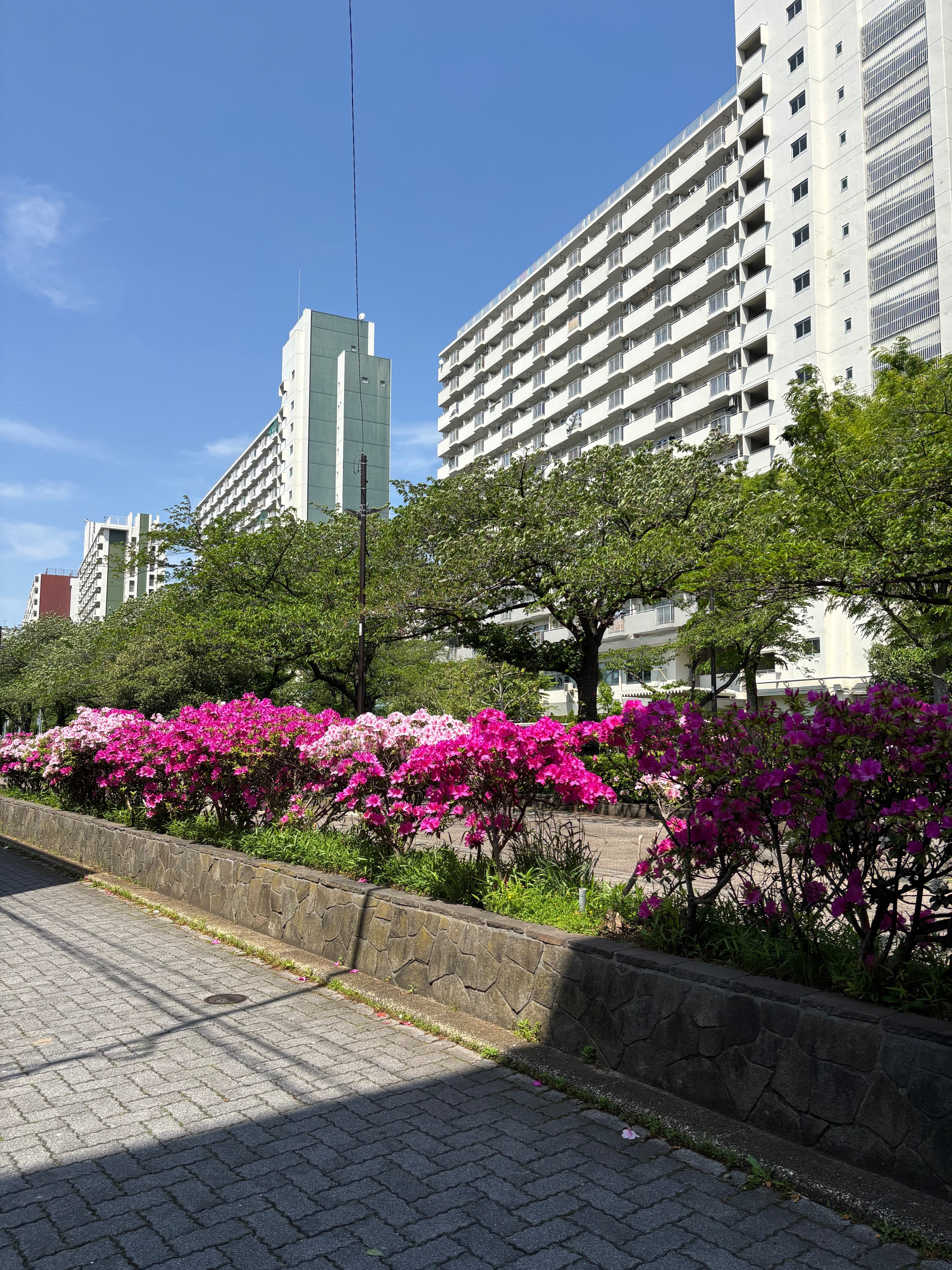 埼玉縣 大里郡郷土誌 下田江東編　千秋社 予約限定版　E11021 埼玉縣 大里郡郷土誌 下田江東編 千秋社 予約限定版 E11021