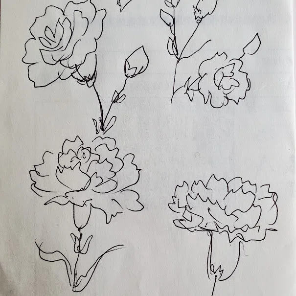 ボールペンで描いて🌸水彩絵の具とパステルで仕上げるカーネーション