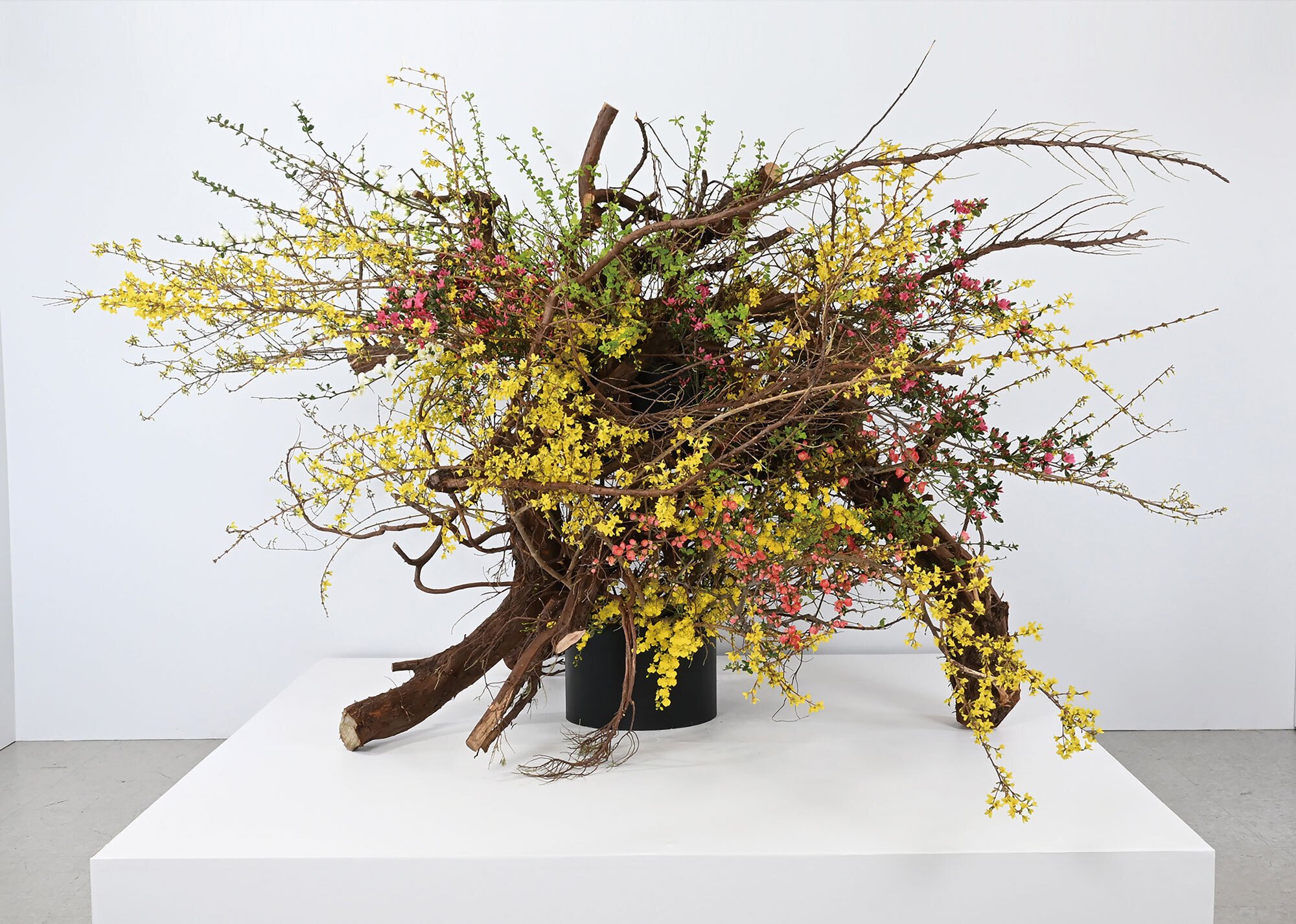 春の彩りあふれる大作＋つつじの紅に新緑の緑を合わせた古典華（2025年