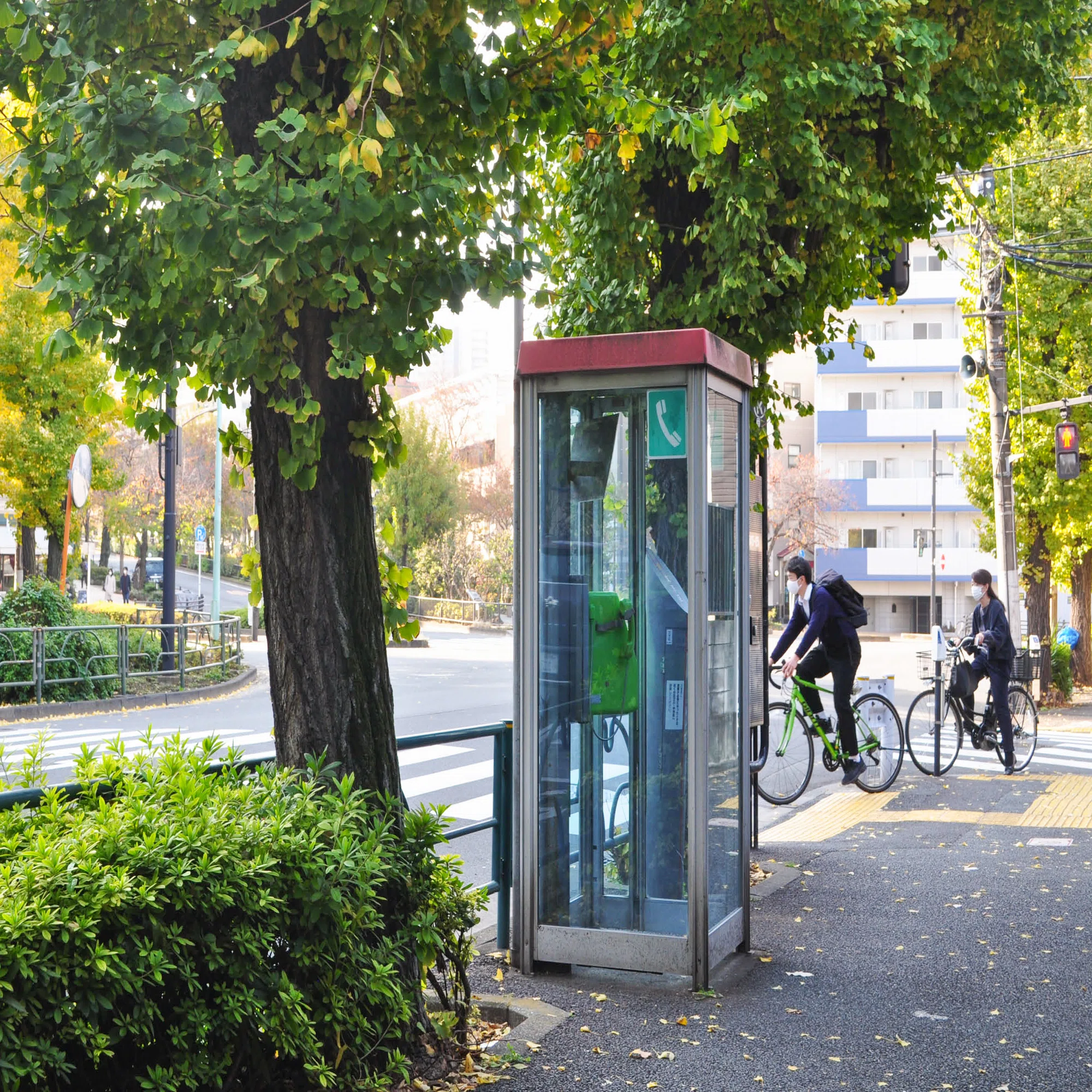 東京のレトロな電話ボックスを探しに｜nico