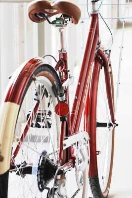 Raleigh CLB-S また買ってしまった｜zero