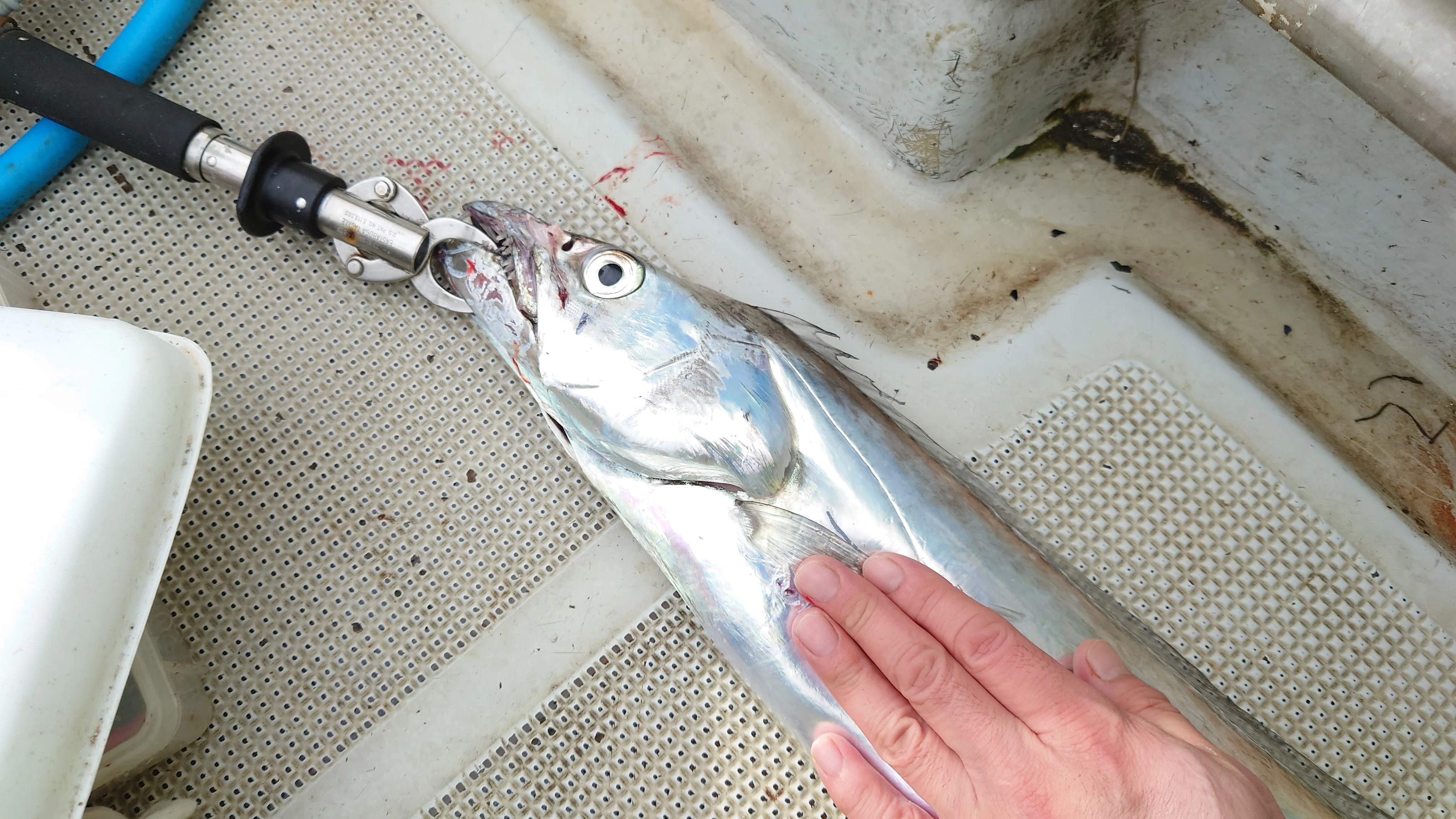 シマノ・ クロスミッション XRがアイナメン家にやってきた件｜根魚戦士